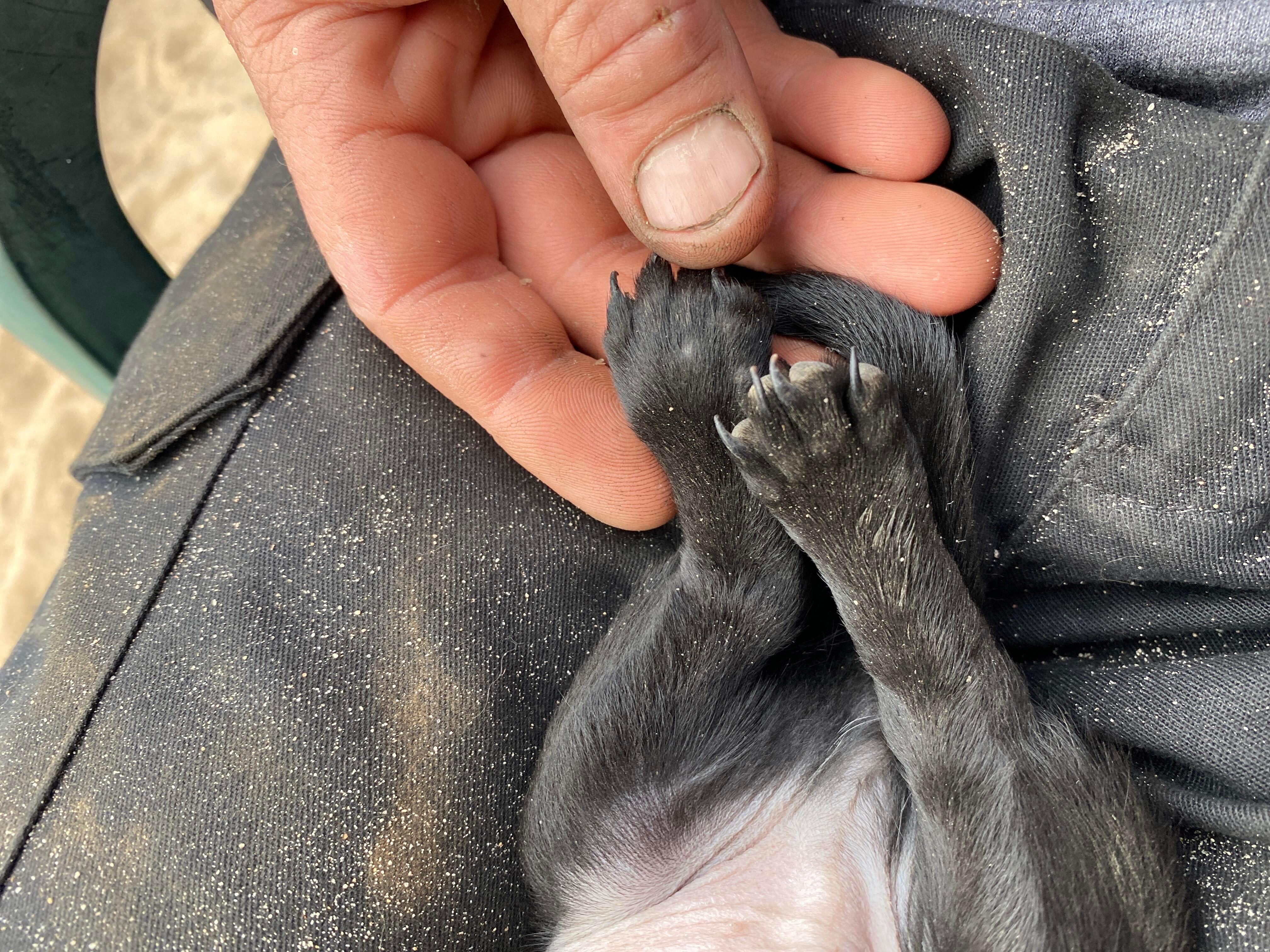 Question details sensitive content