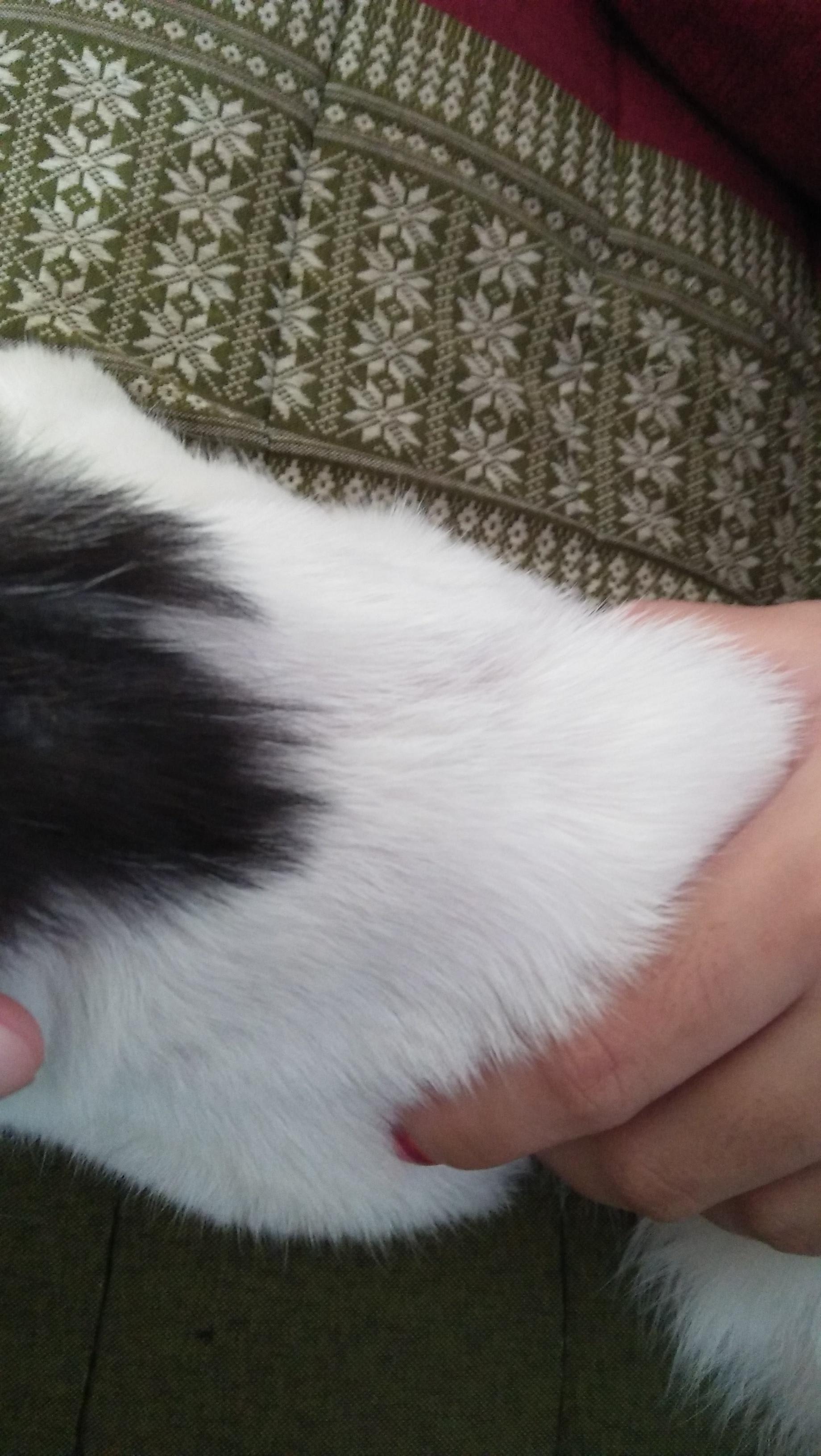 Question details sensitive content