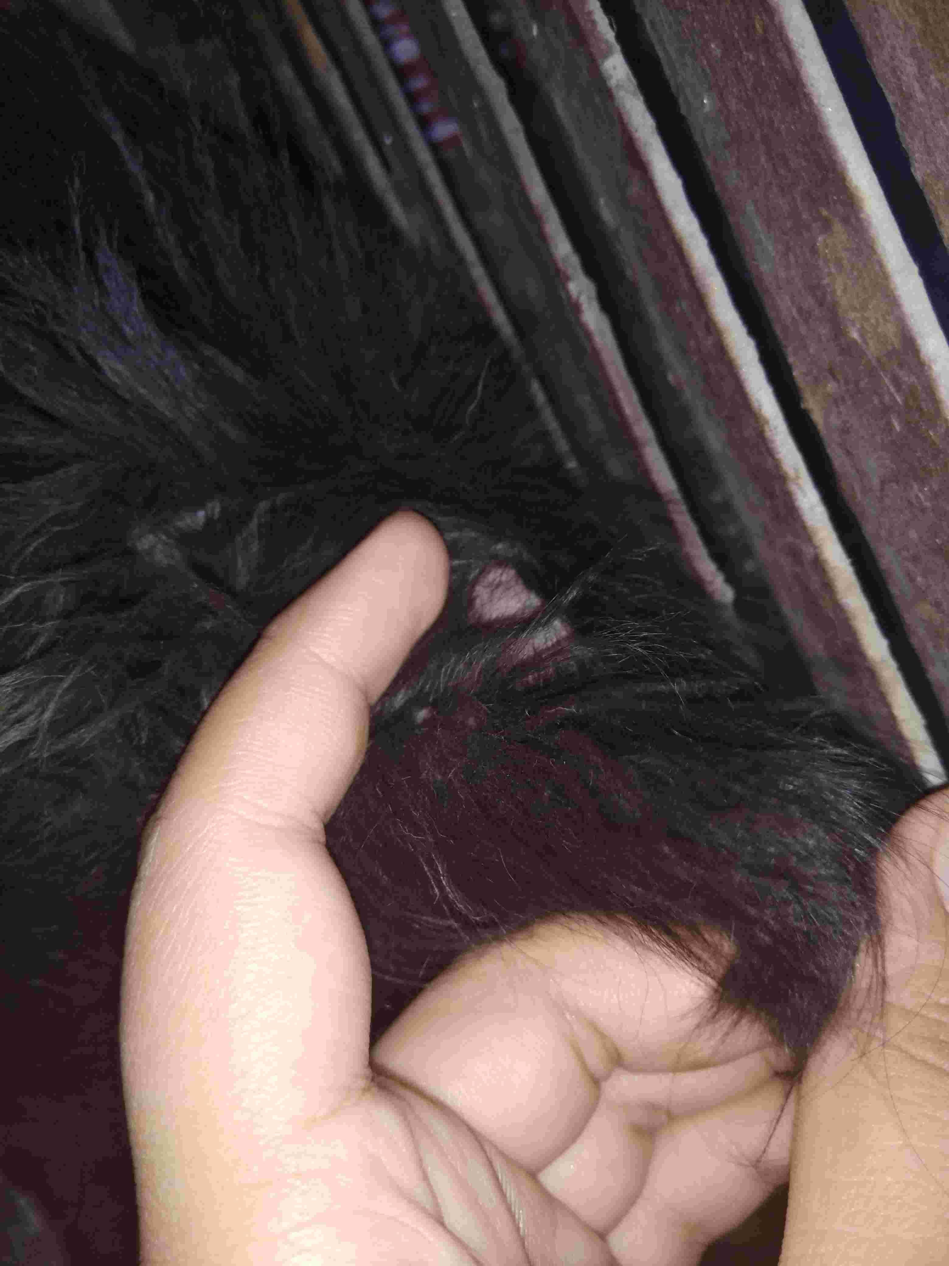 Question details sensitive content