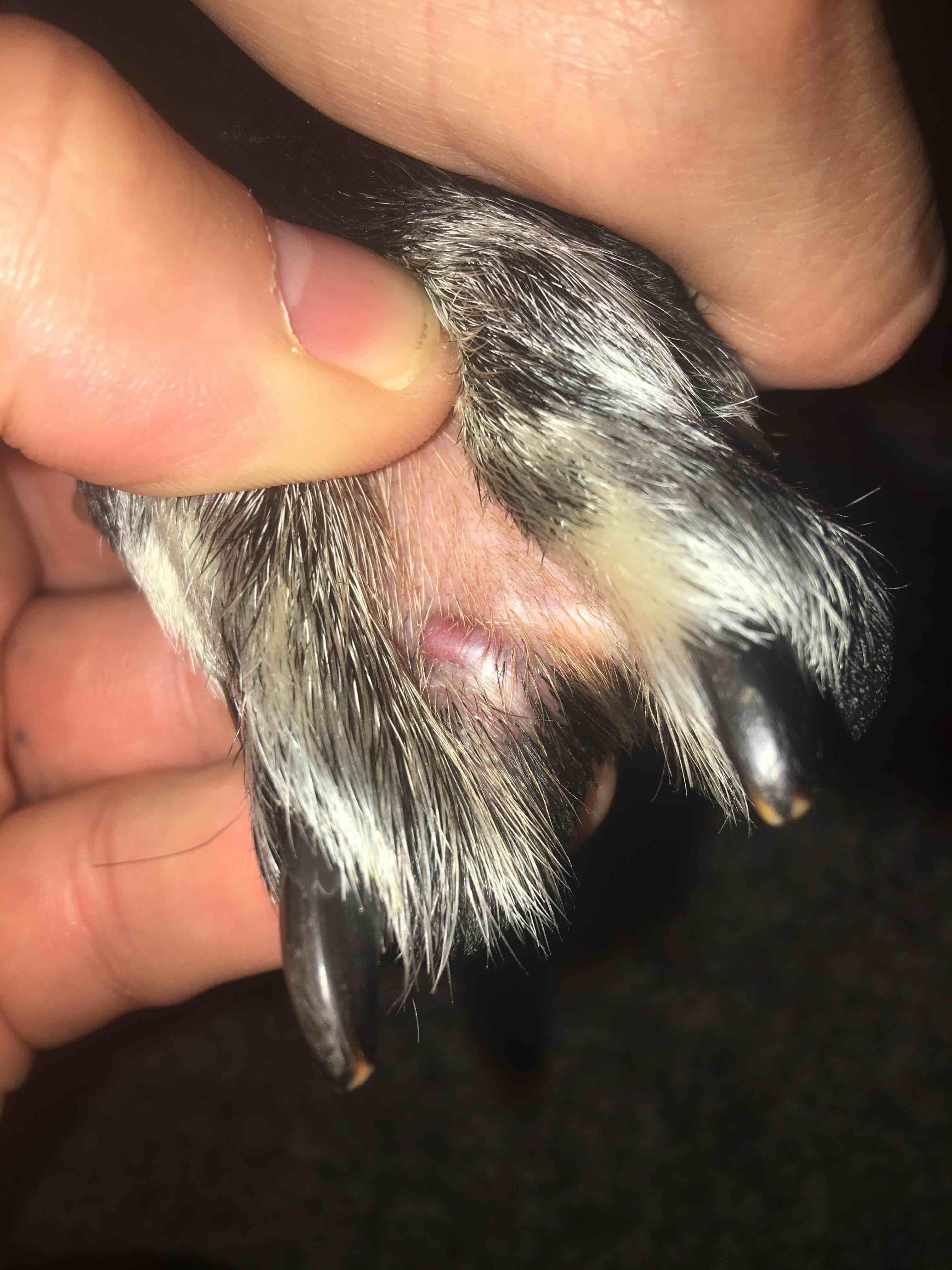 Question details sensitive content