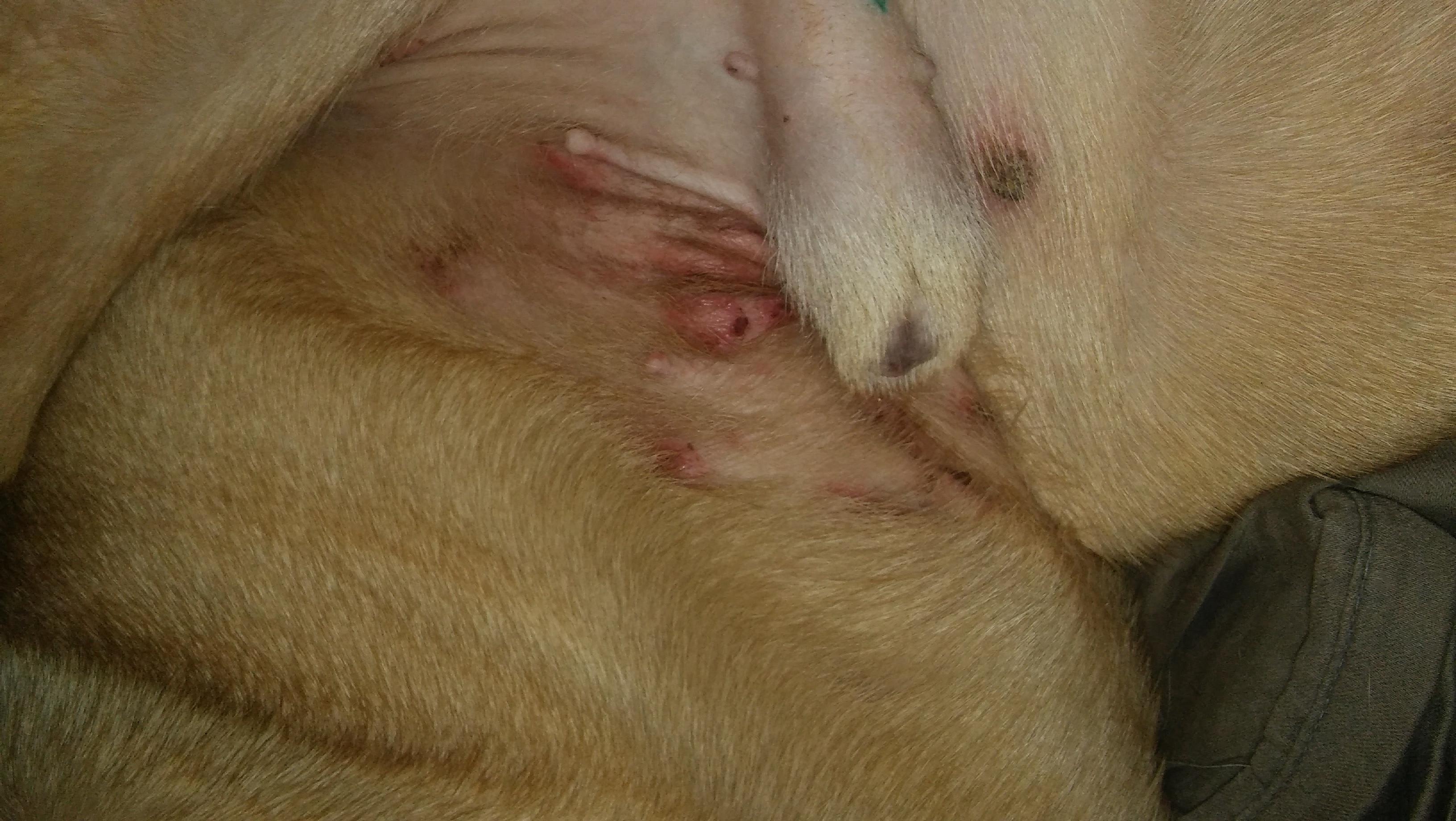 Question details sensitive content