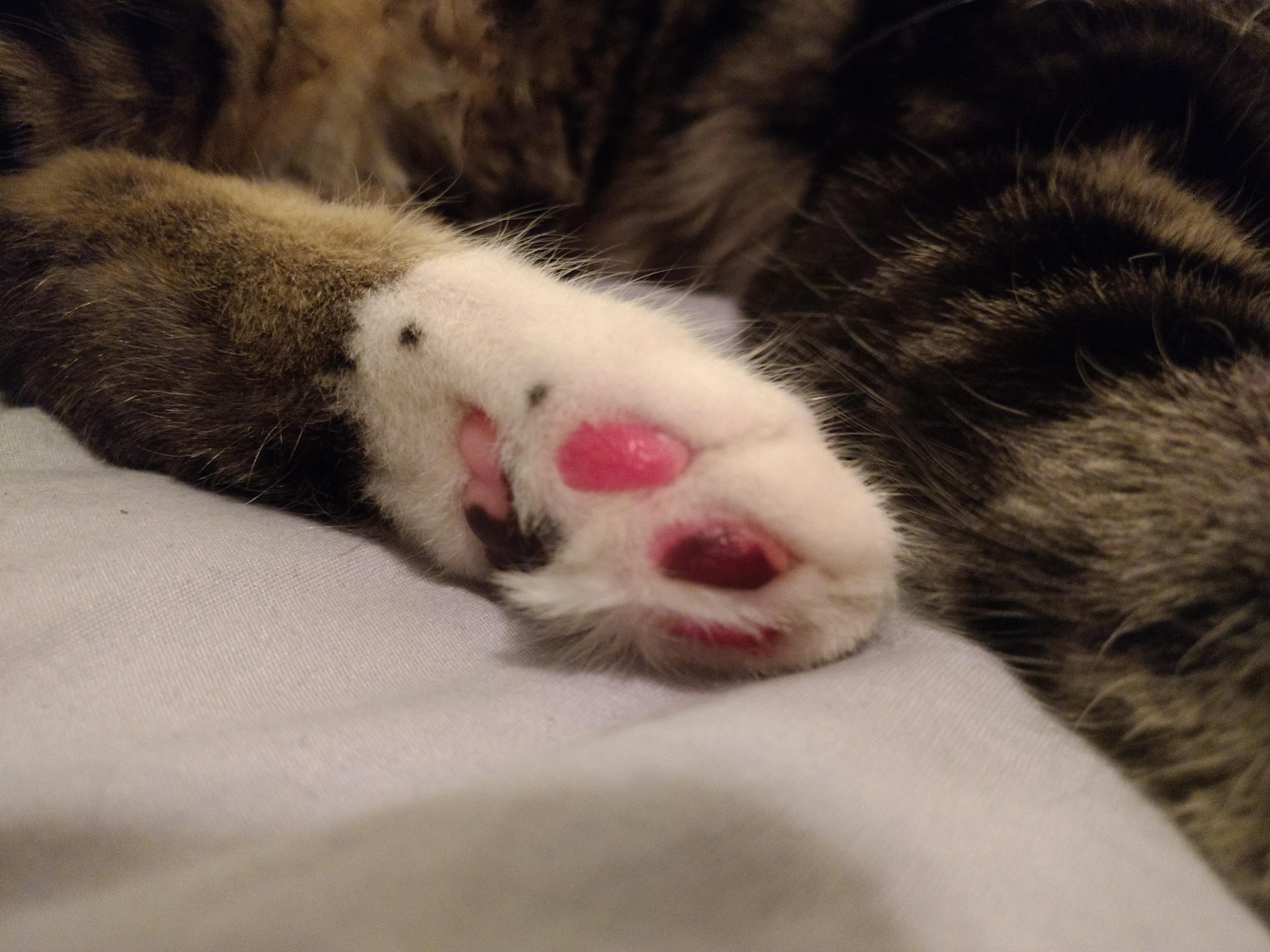 Question details sensitive content