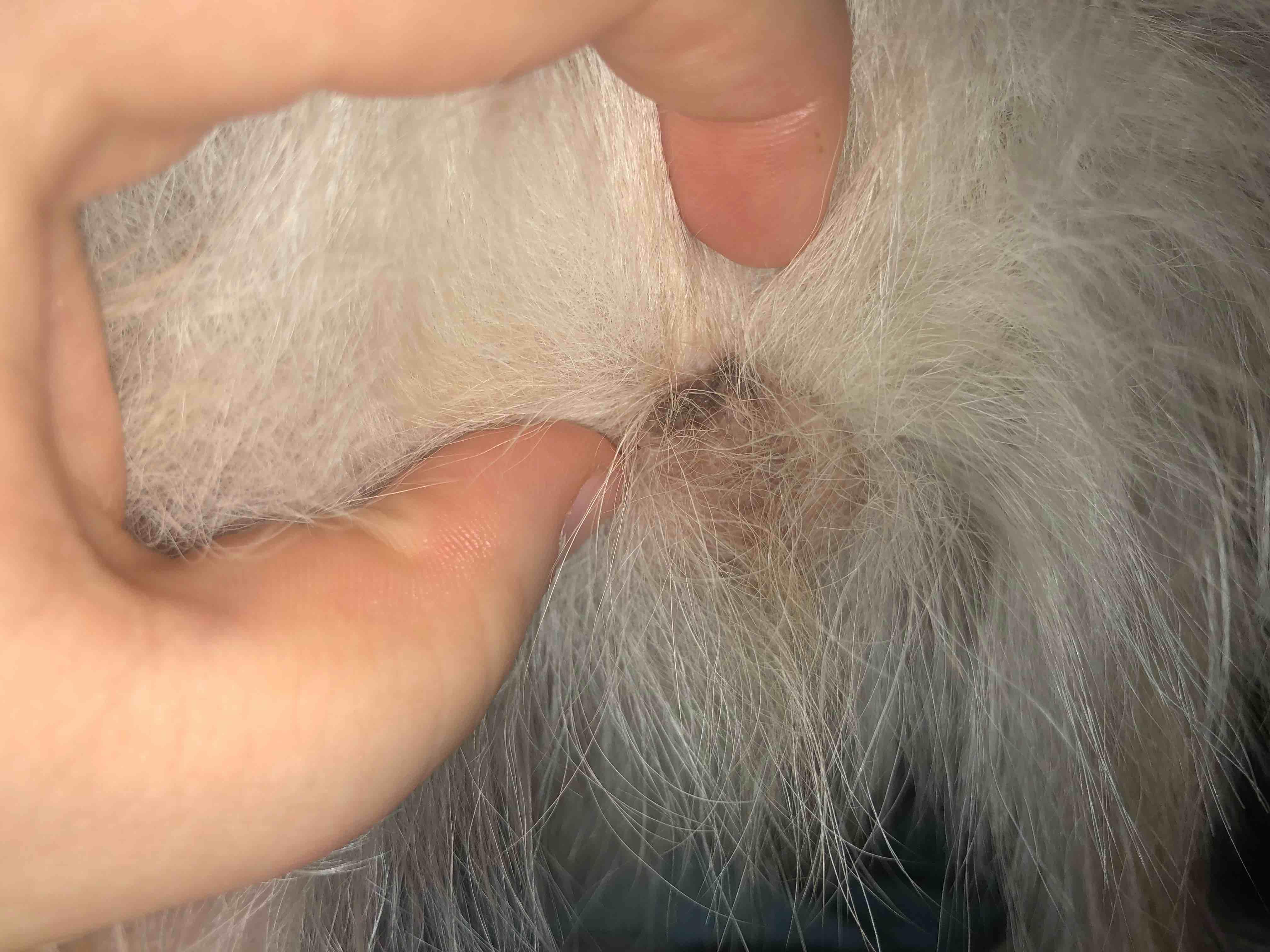 Question details sensitive content