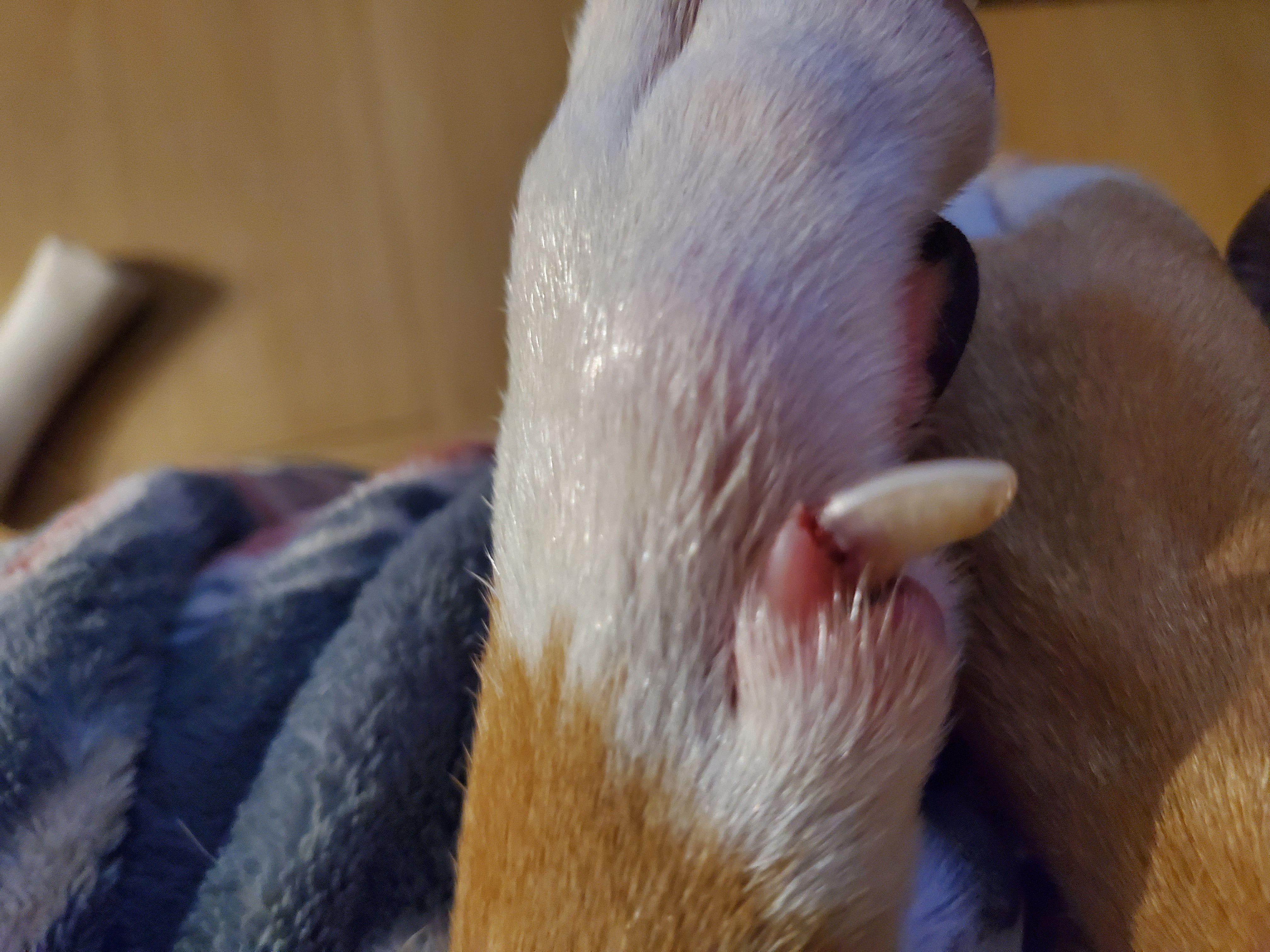 Question details sensitive content