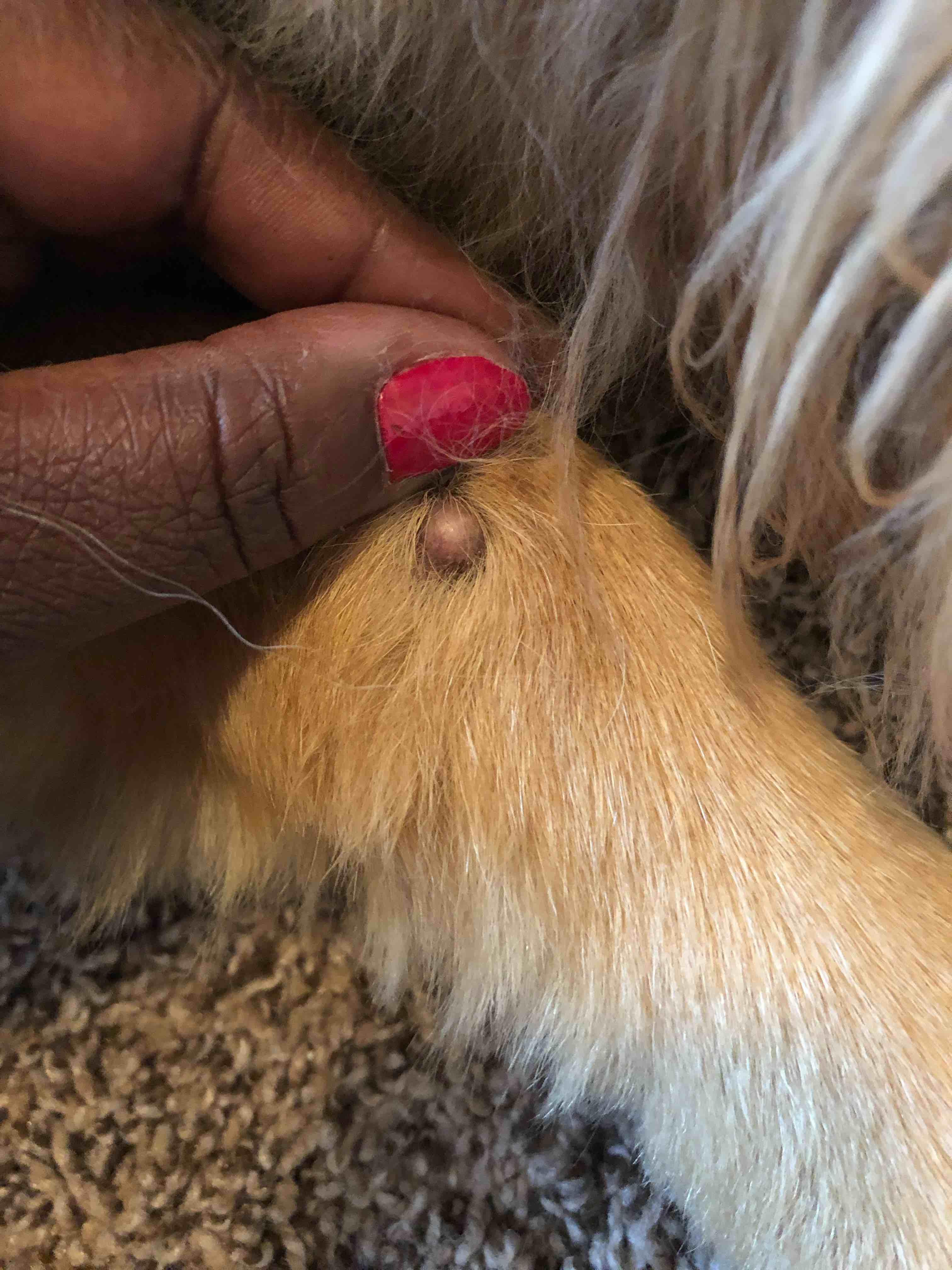 Question details sensitive content