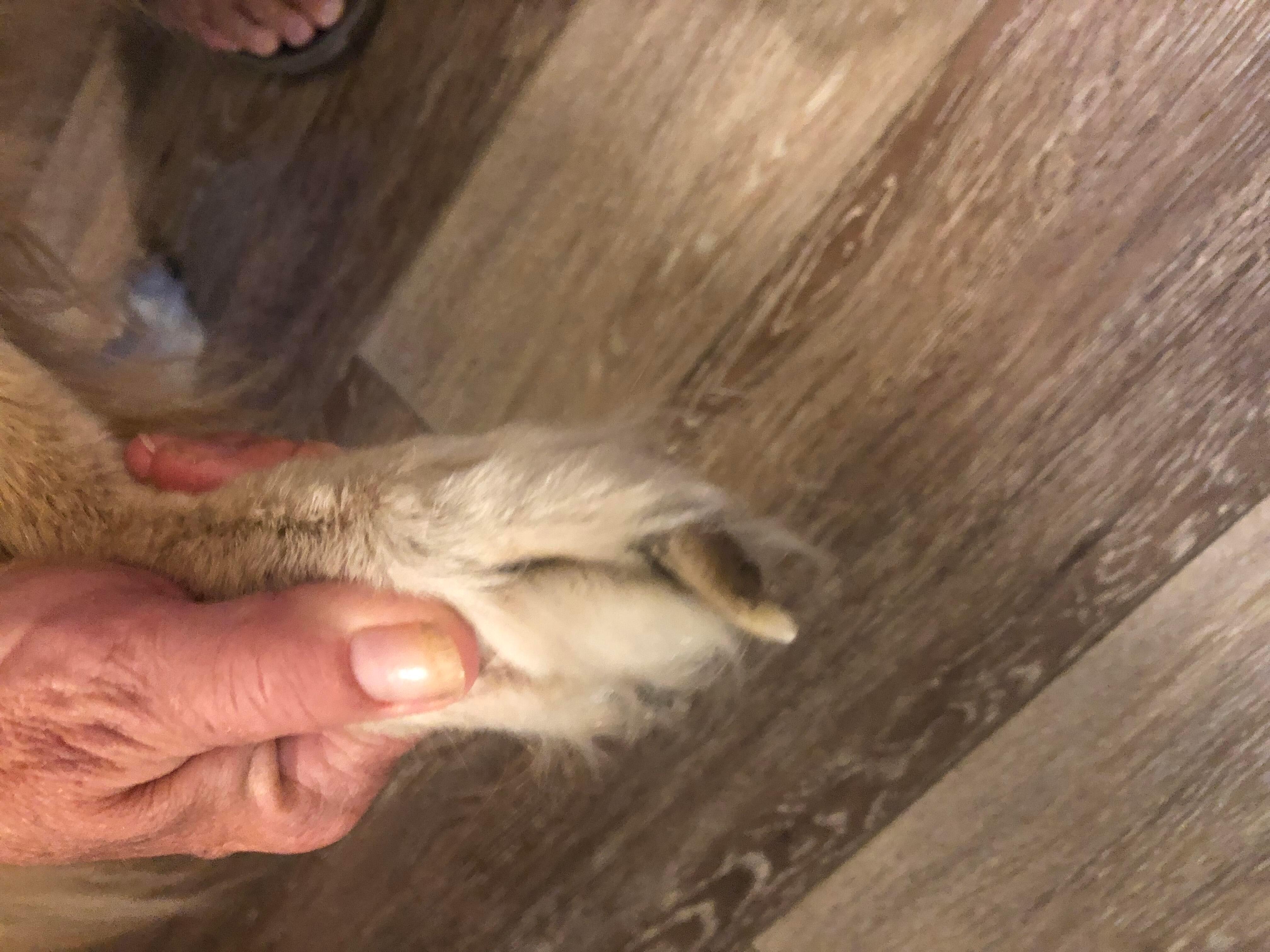 Question details sensitive content