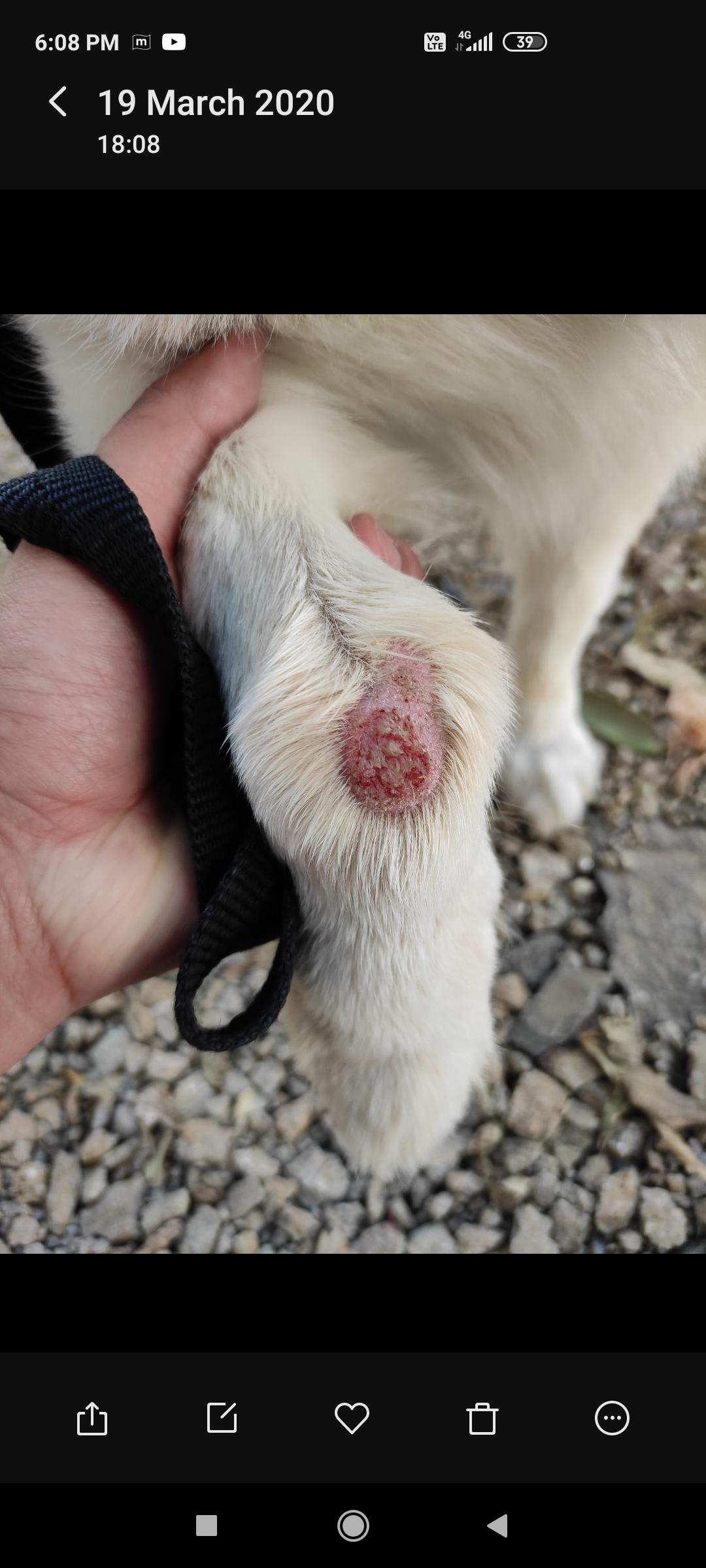 Question details sensitive content