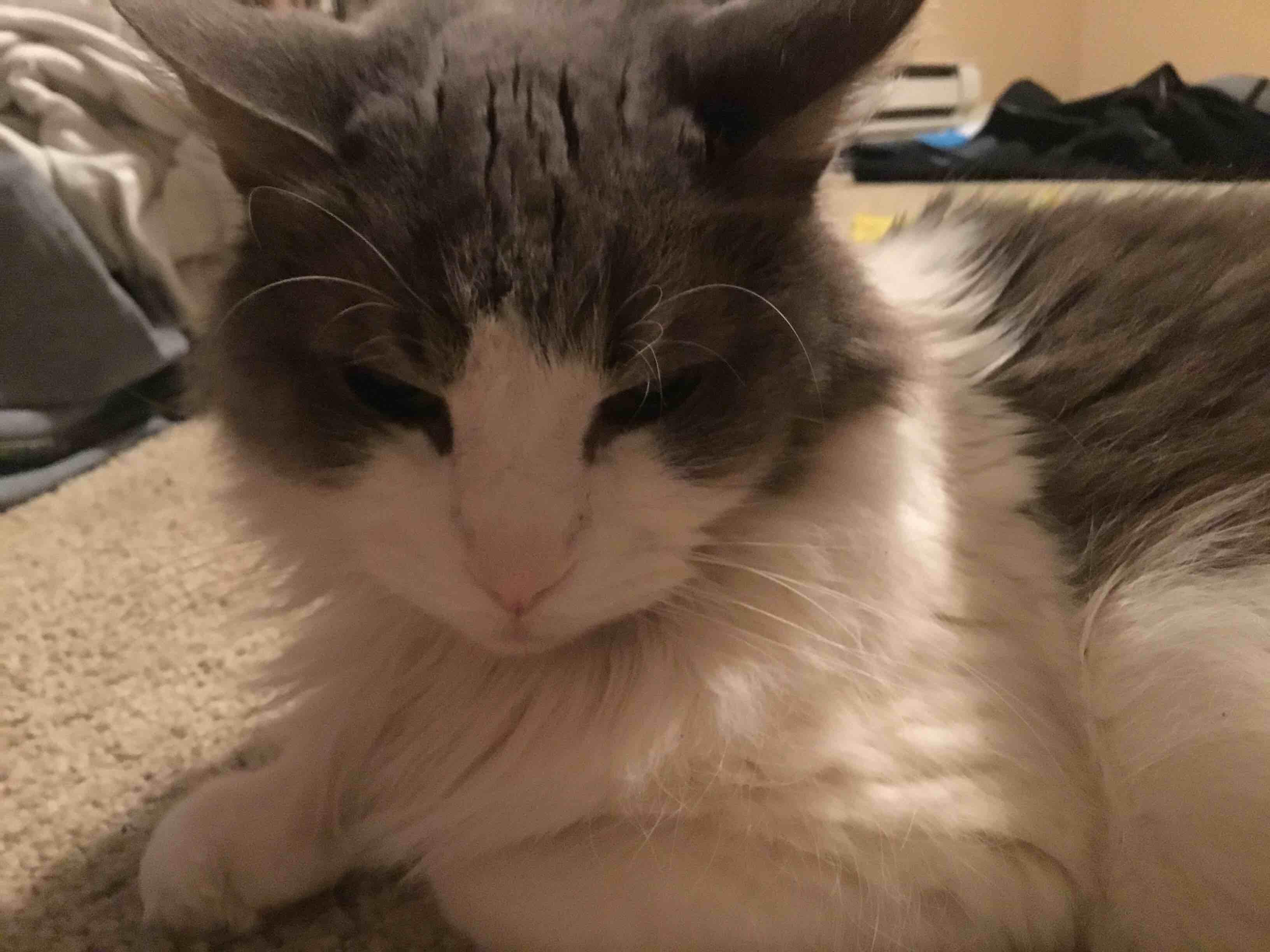 Question details sensitive content