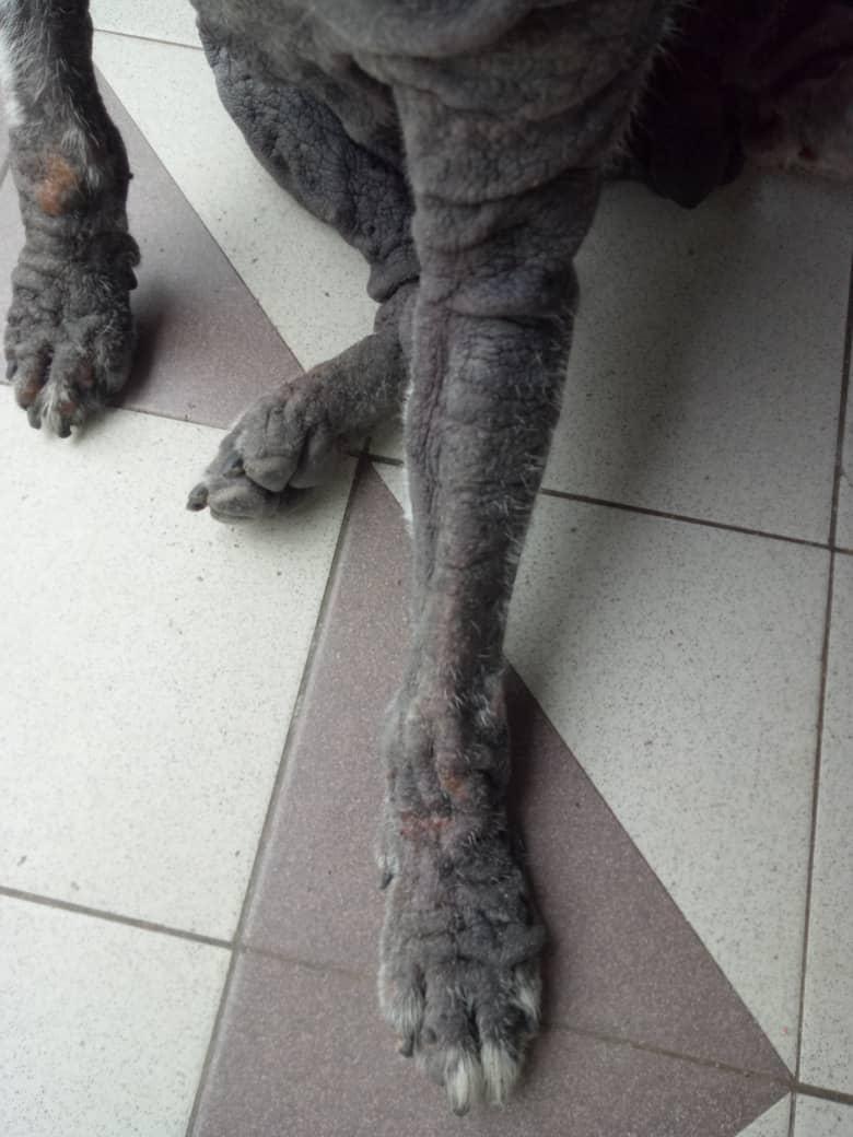 Question details sensitive content