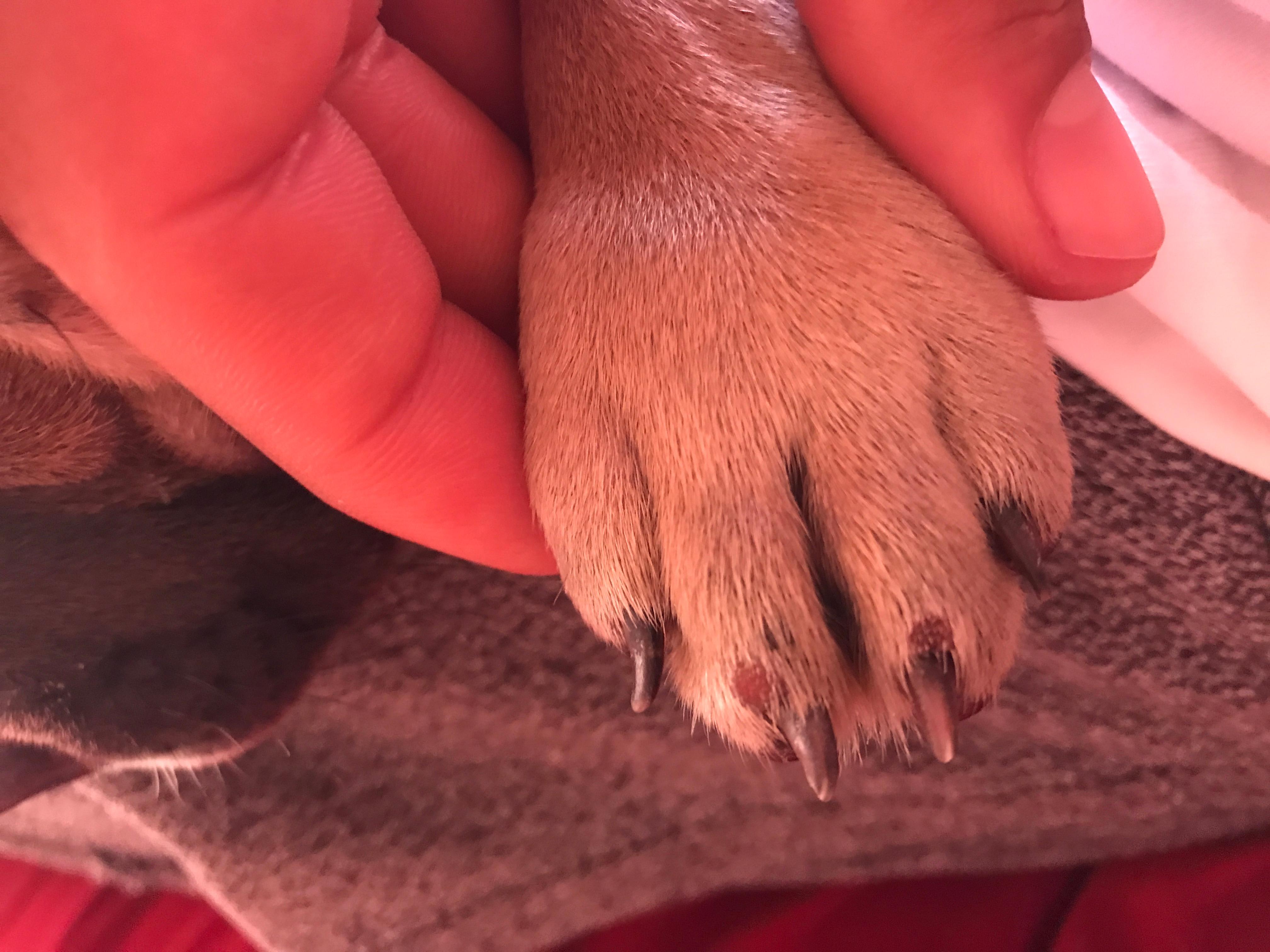 Question details sensitive content