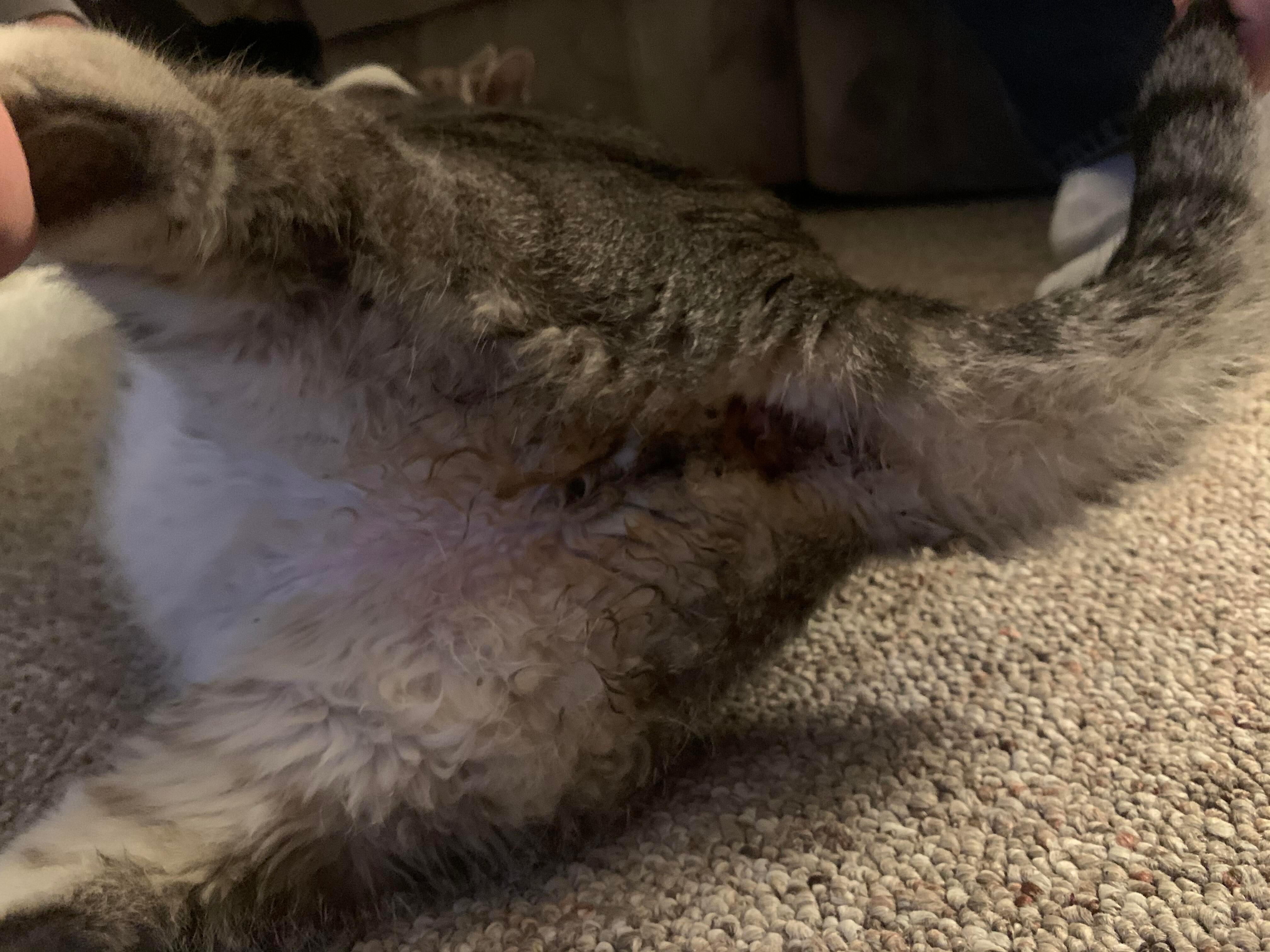 Question details sensitive content