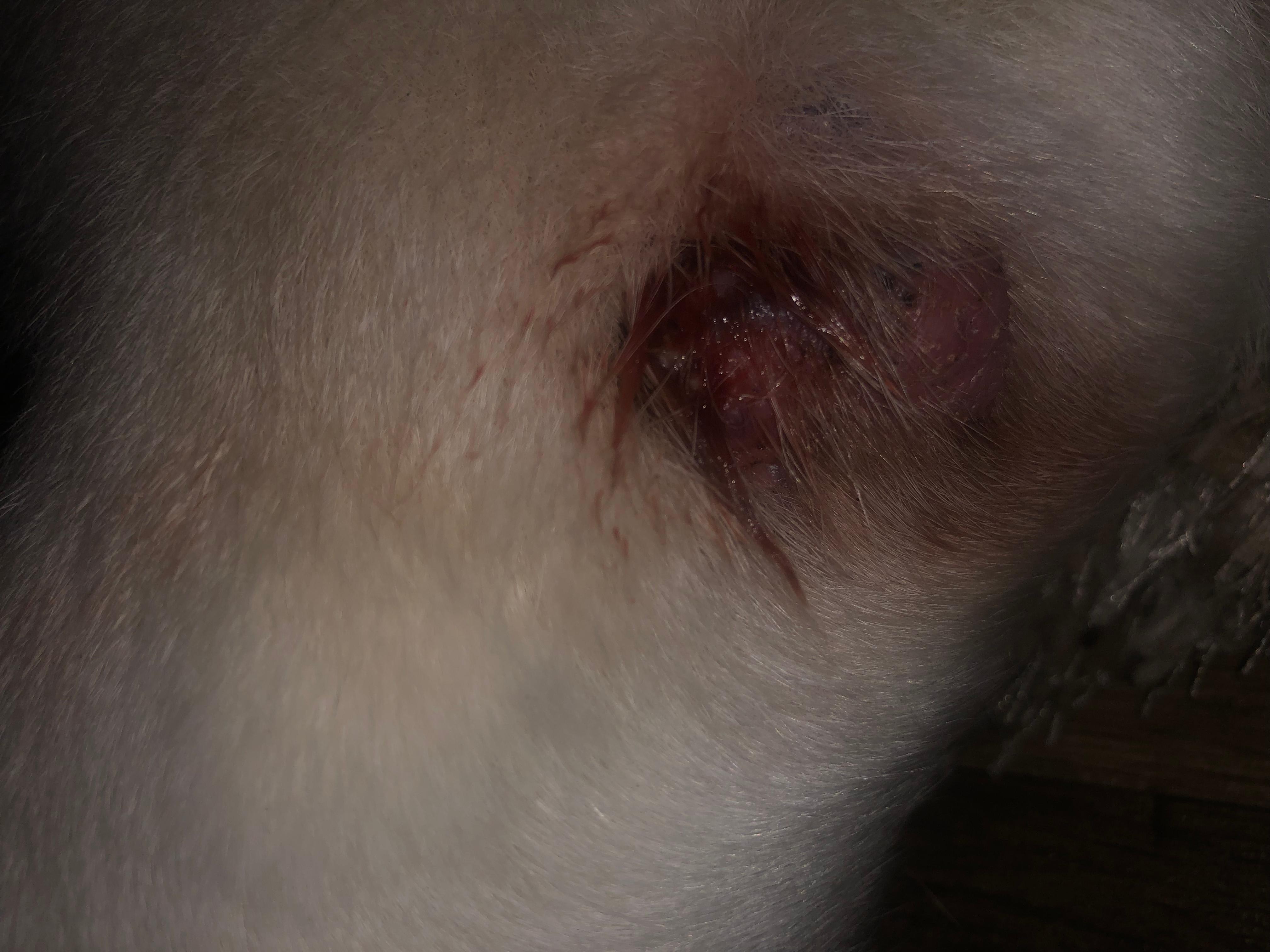 Question details sensitive content