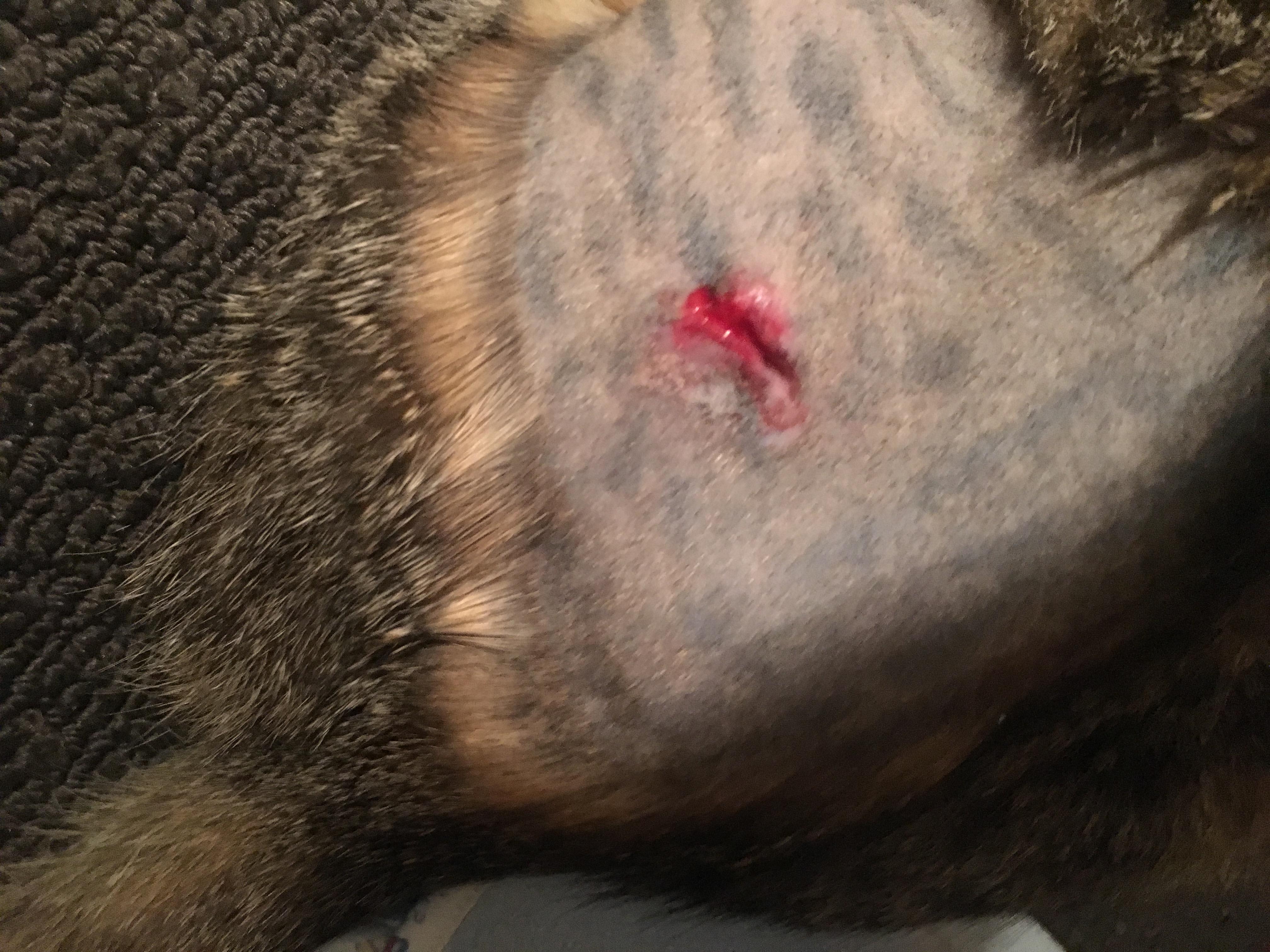 Question details sensitive content