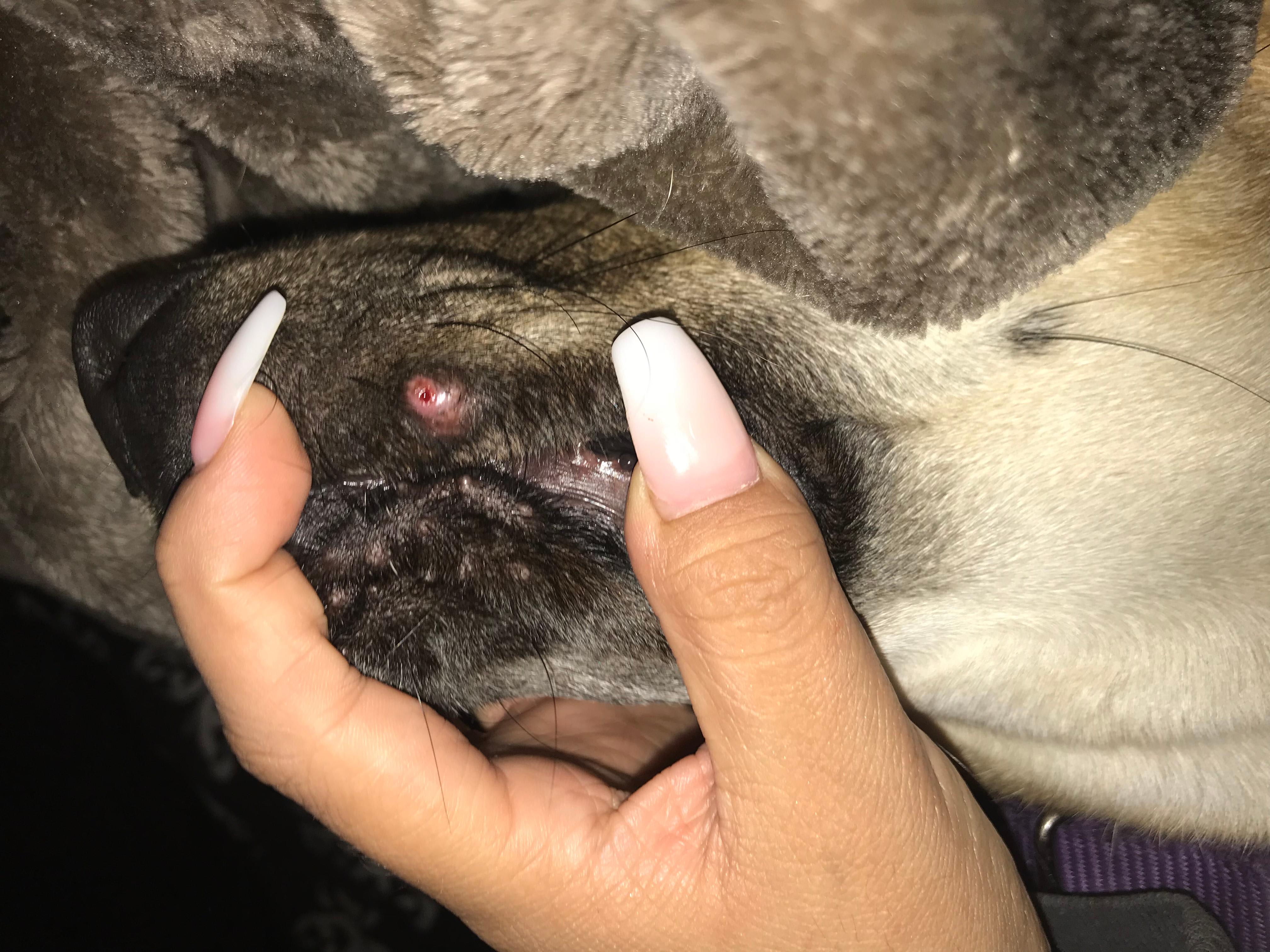 Question details sensitive content