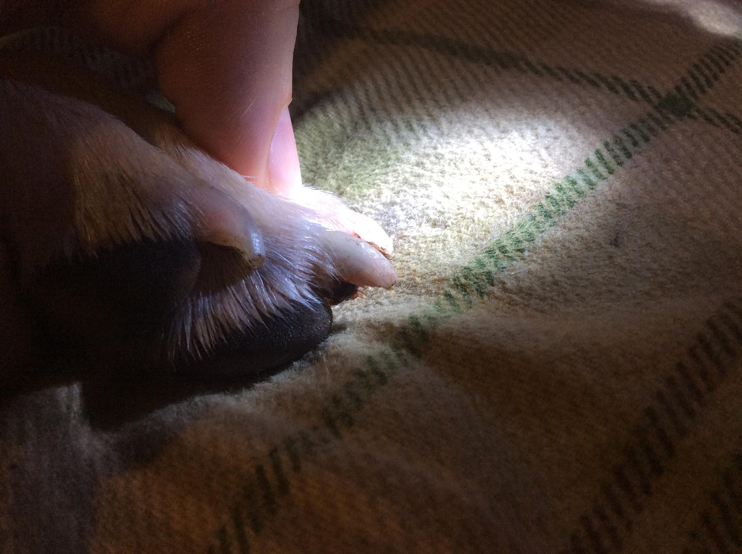 Question details sensitive content