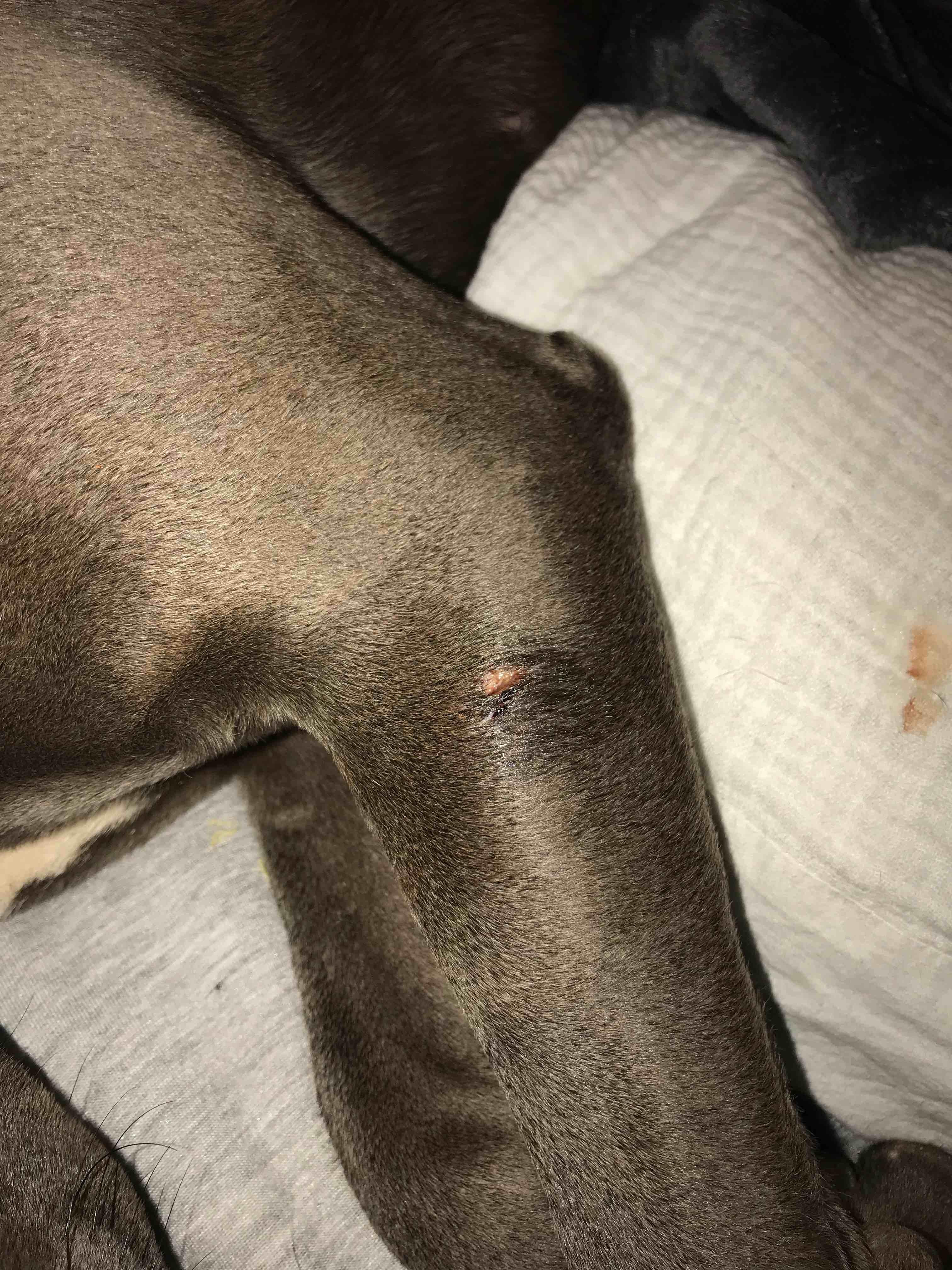 Question details sensitive content