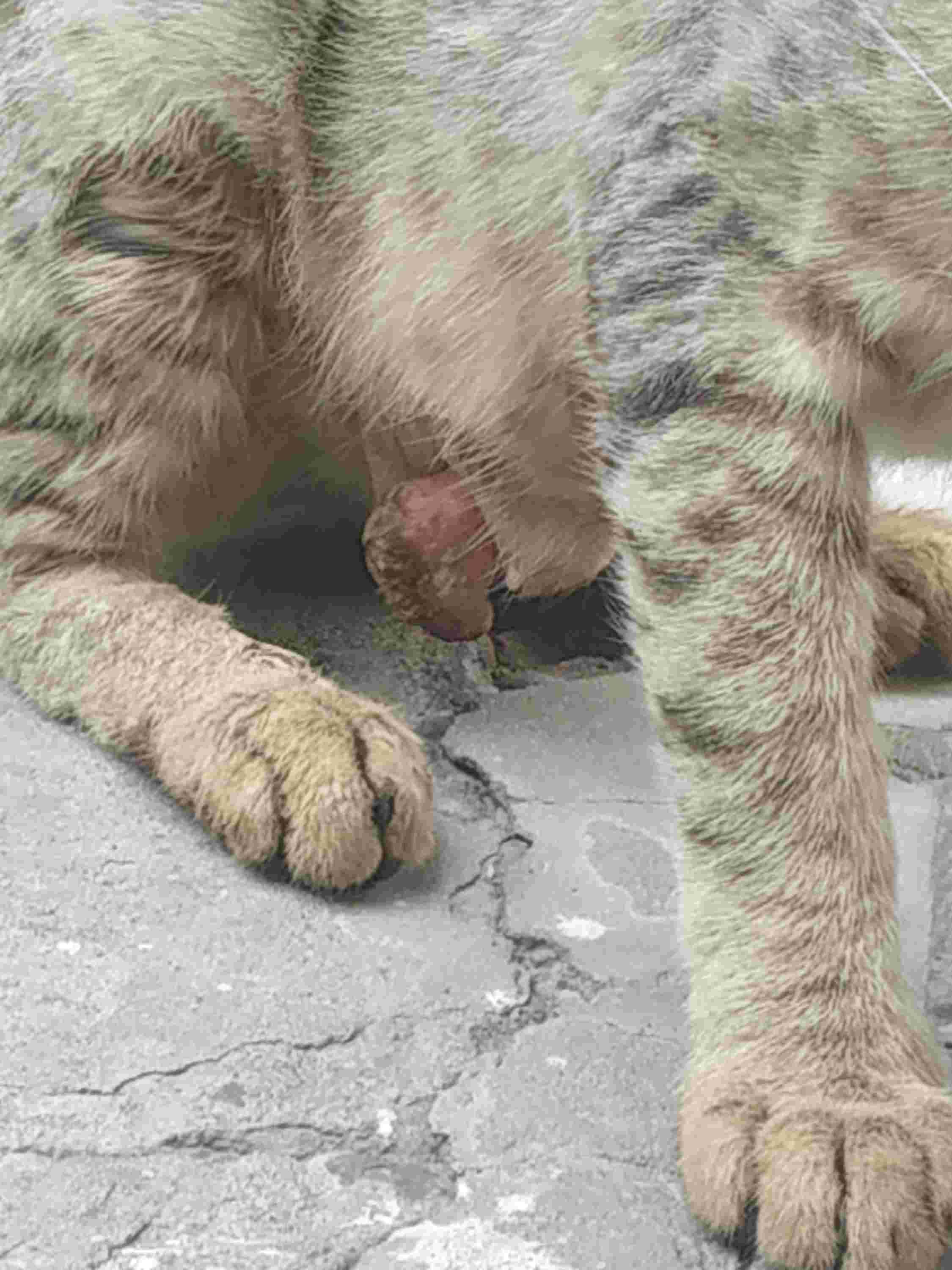 Question details sensitive content