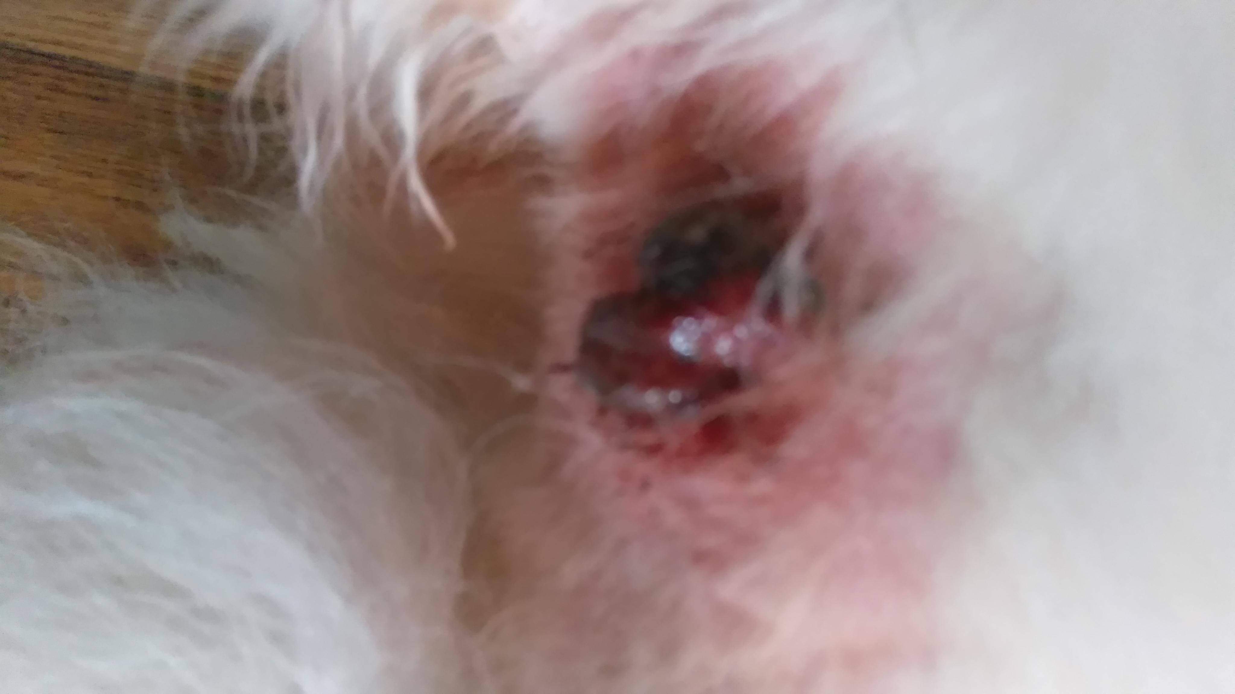 Question details sensitive content