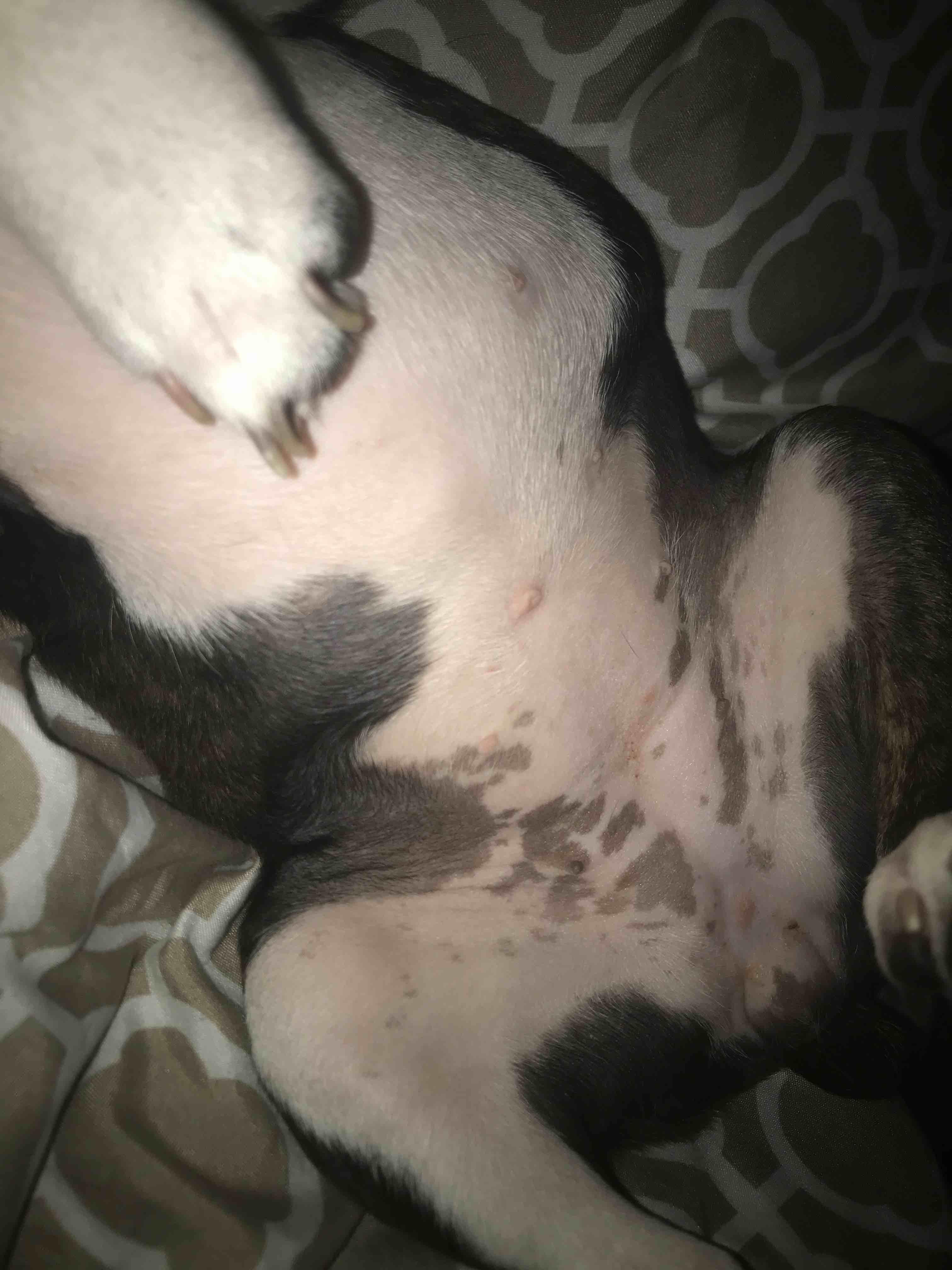 Question details sensitive content