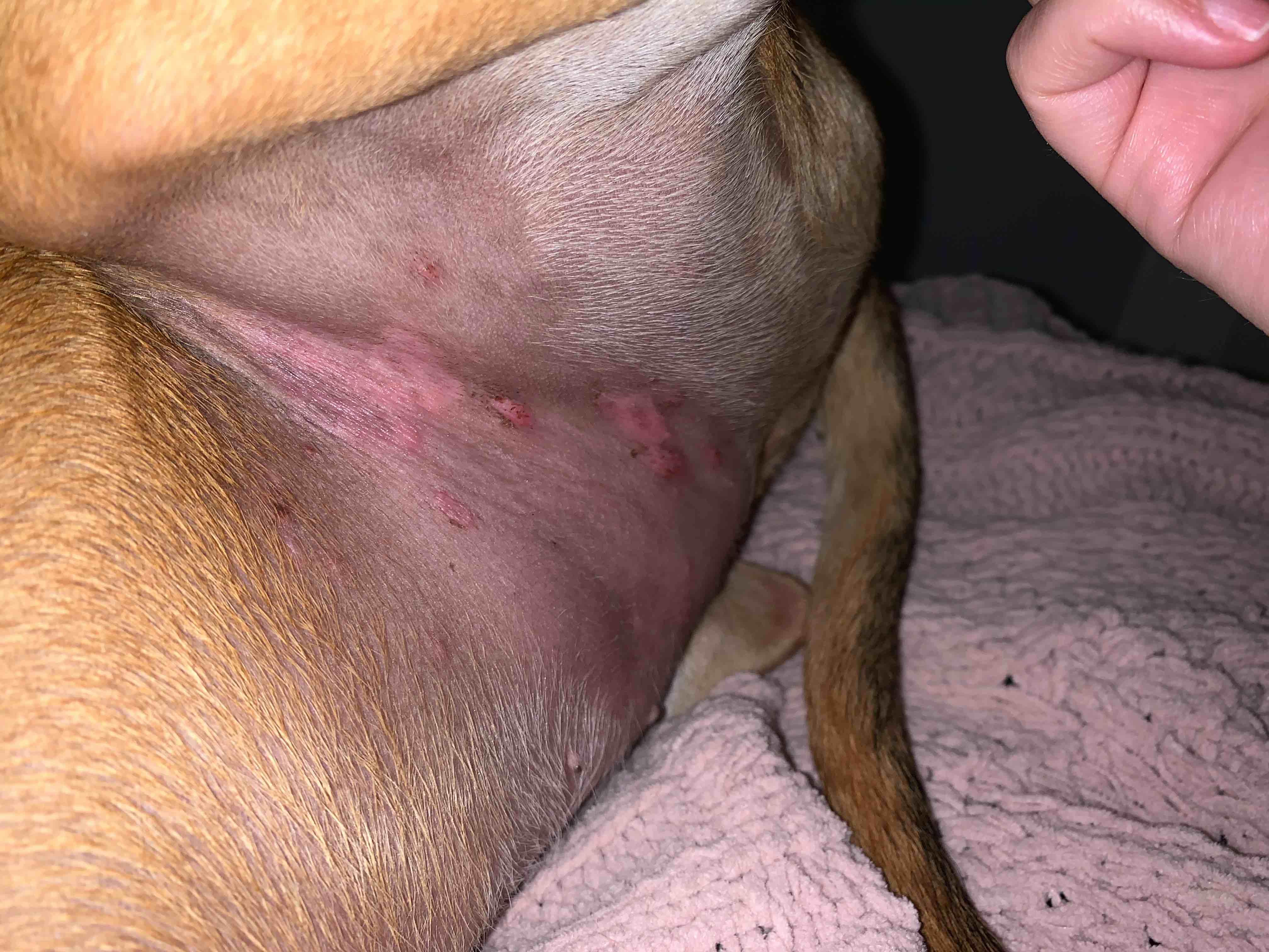 Question details sensitive content