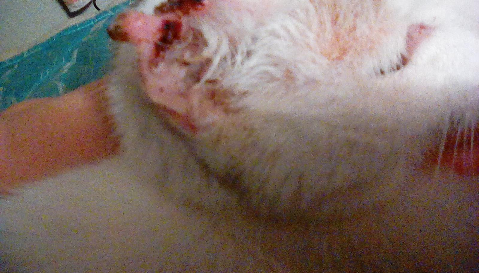 Question details sensitive content