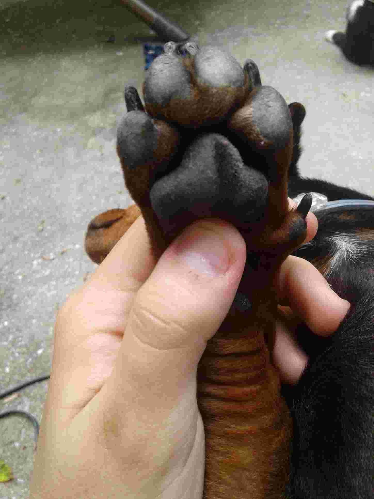 Question details sensitive content