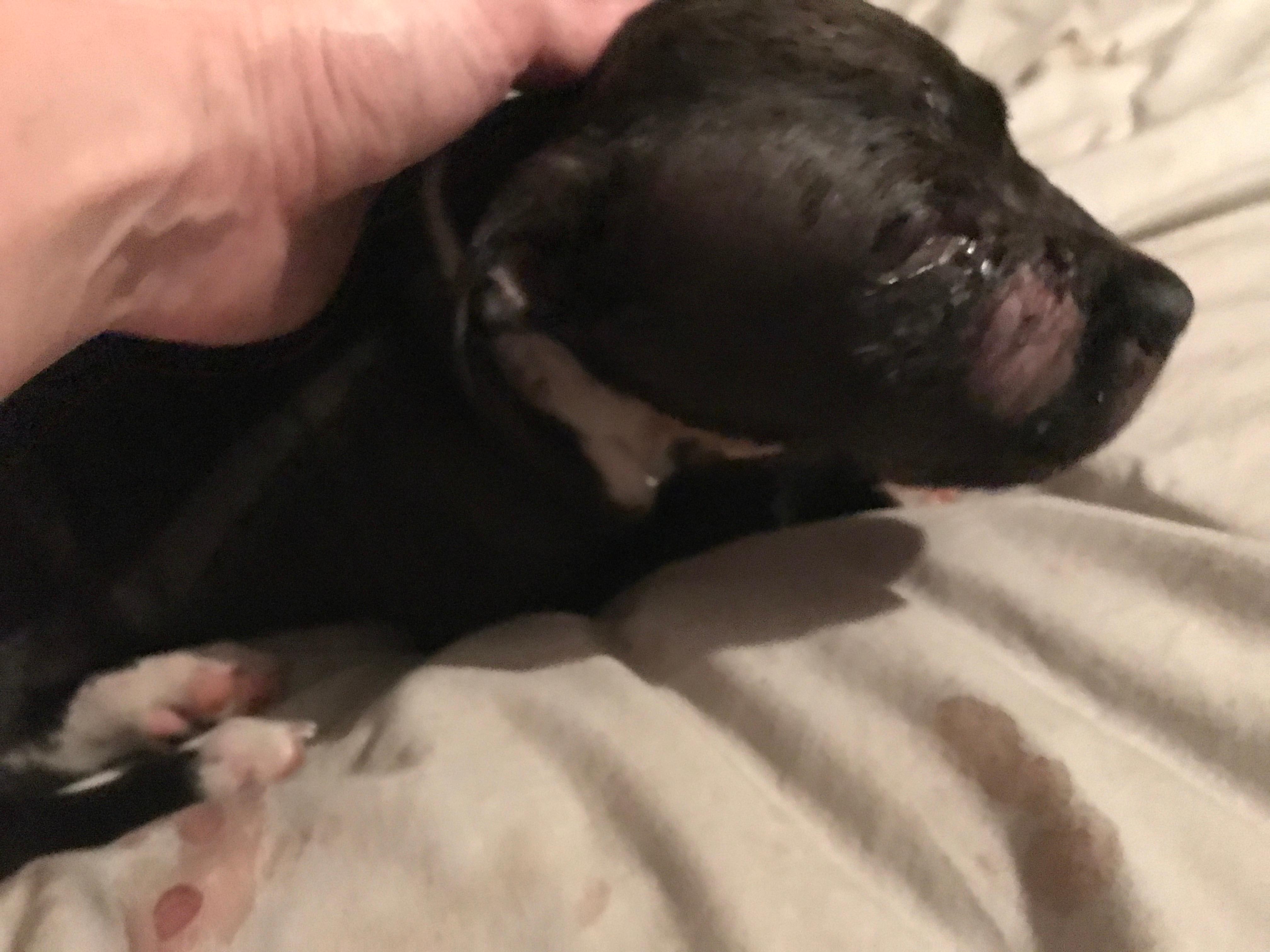 Question details sensitive content