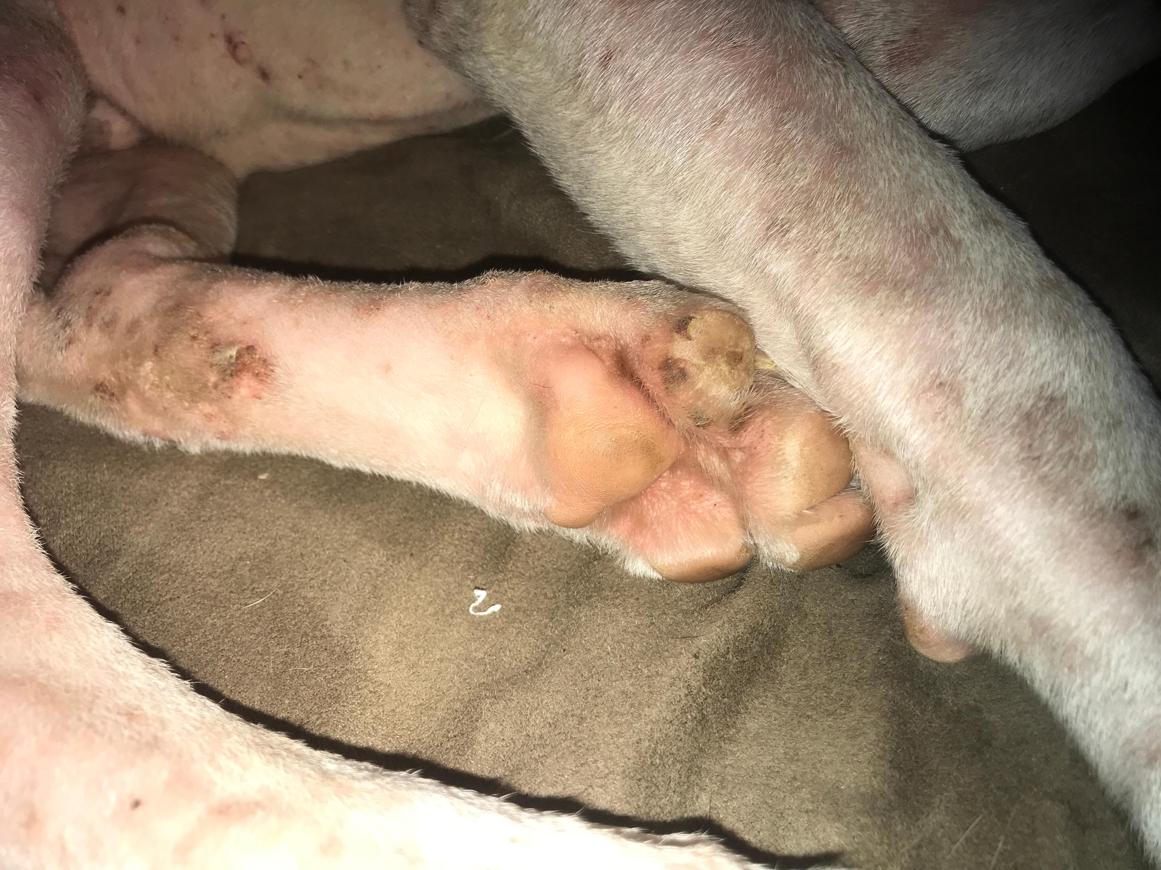 Question details sensitive content