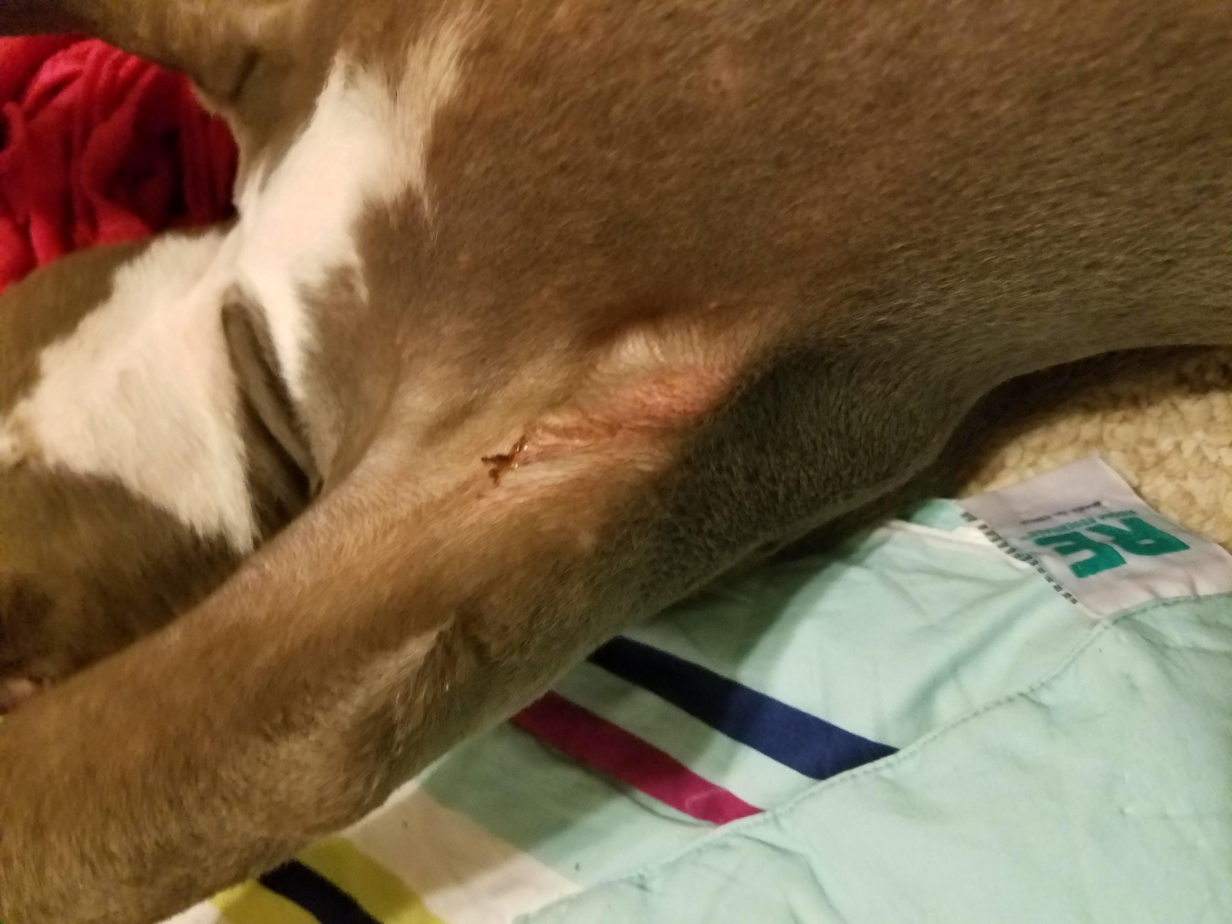 Question details sensitive content