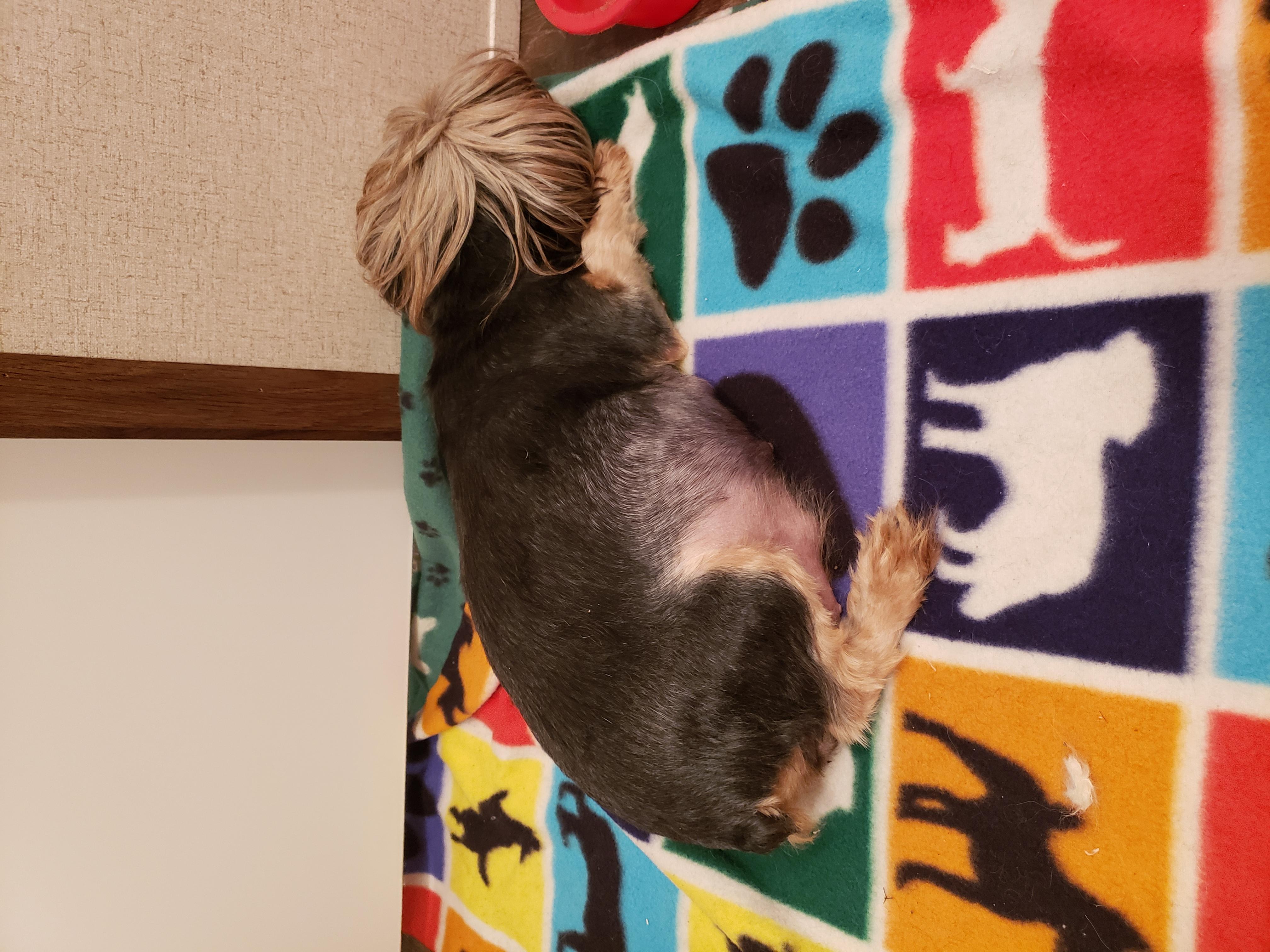 Question details sensitive content