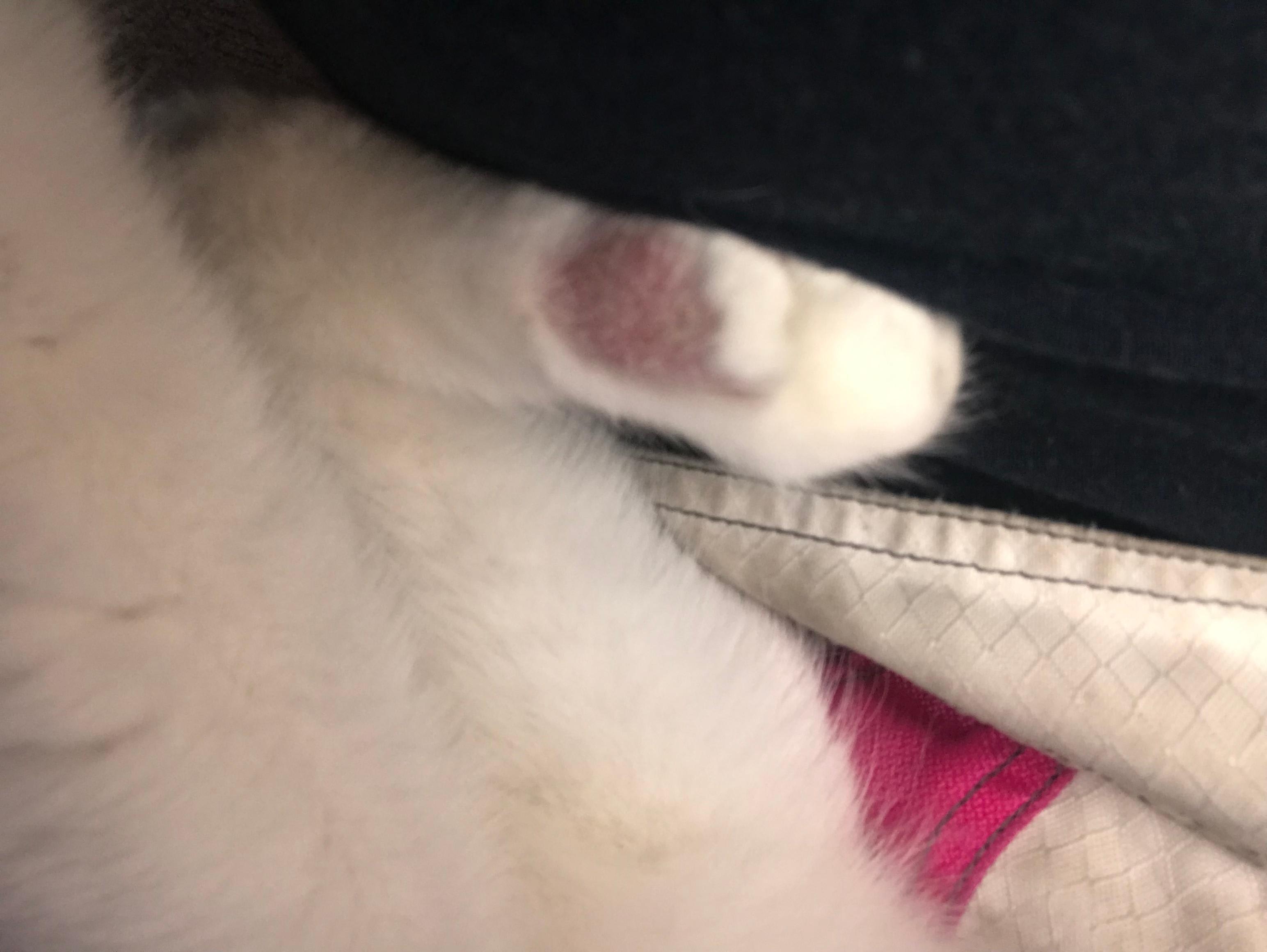 Question details sensitive content