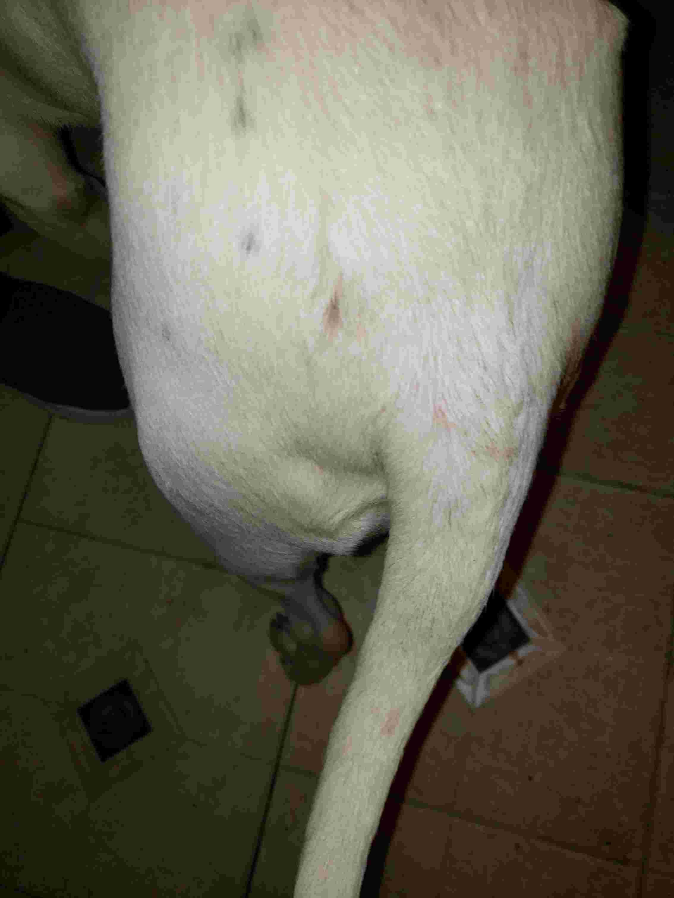 Question details sensitive content