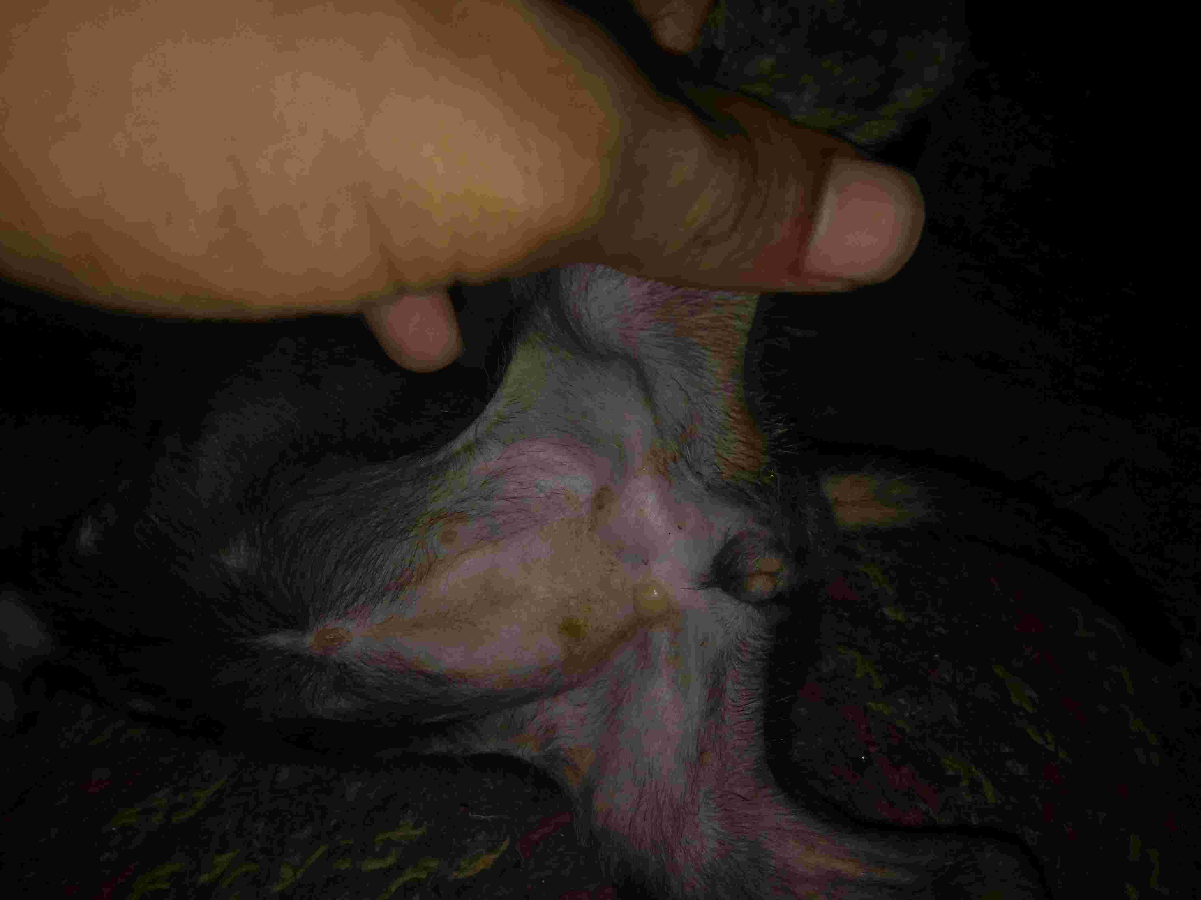 Question details sensitive content