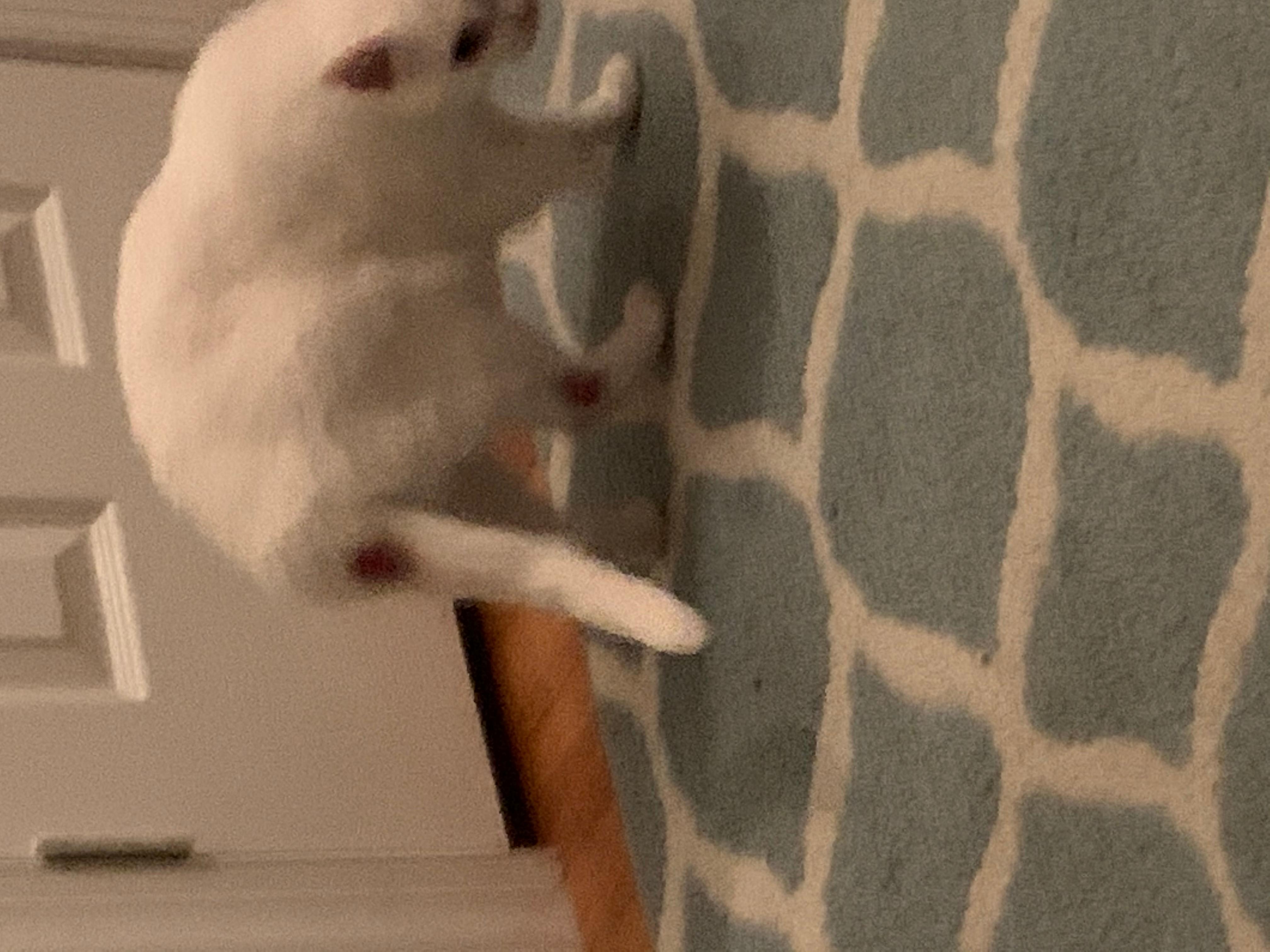 Question details sensitive content