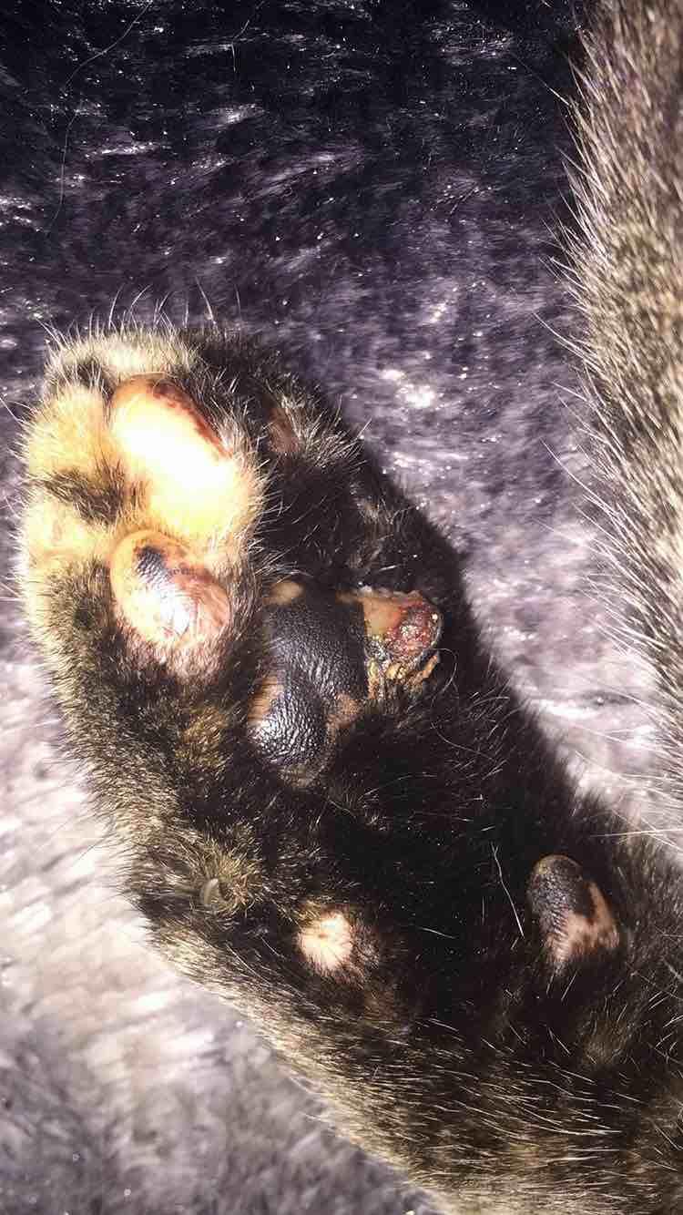 Question details sensitive content