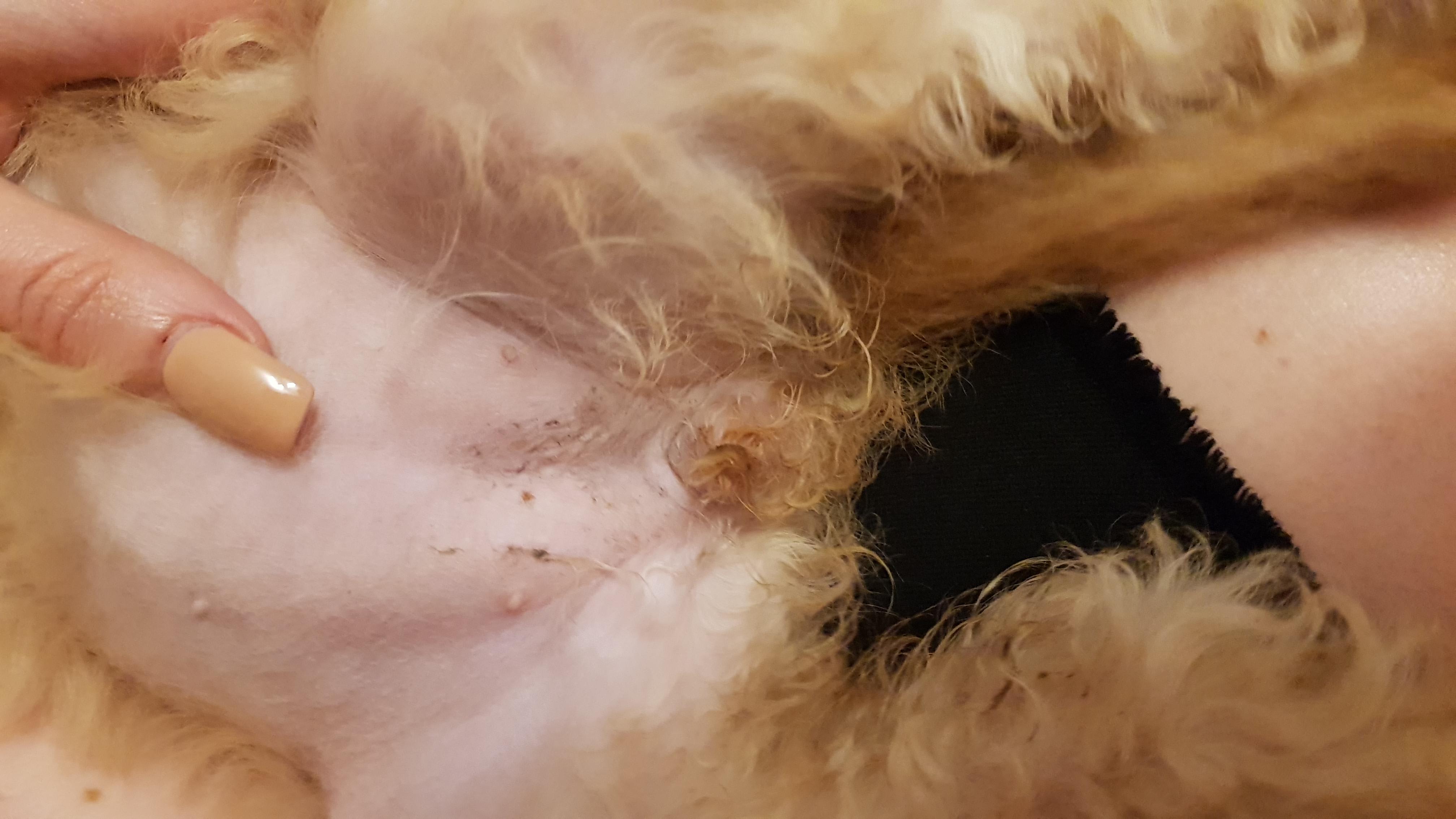 Question details sensitive content