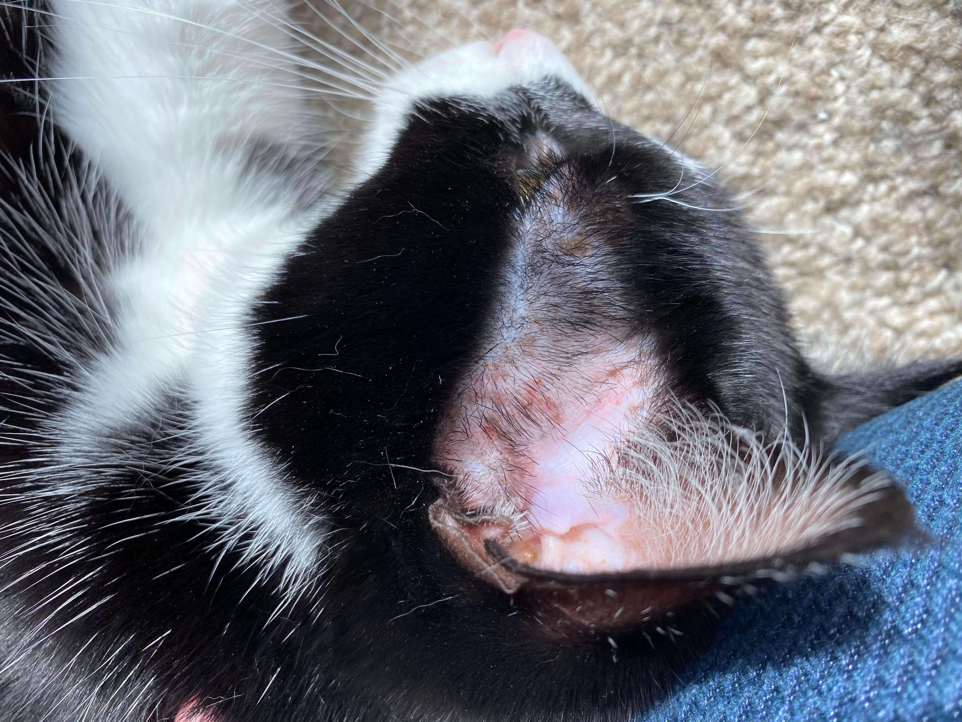 Question details sensitive content