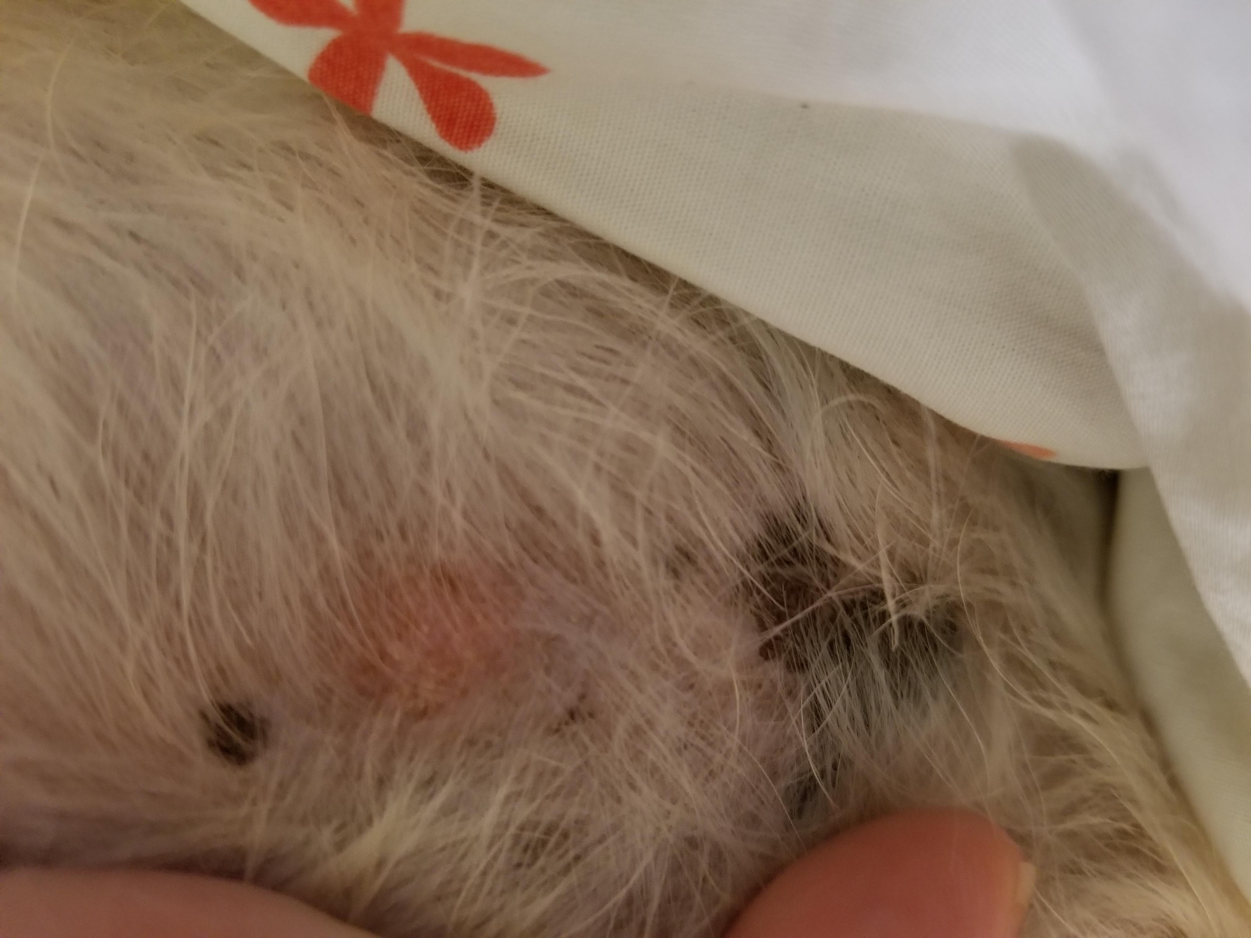 Question details sensitive content