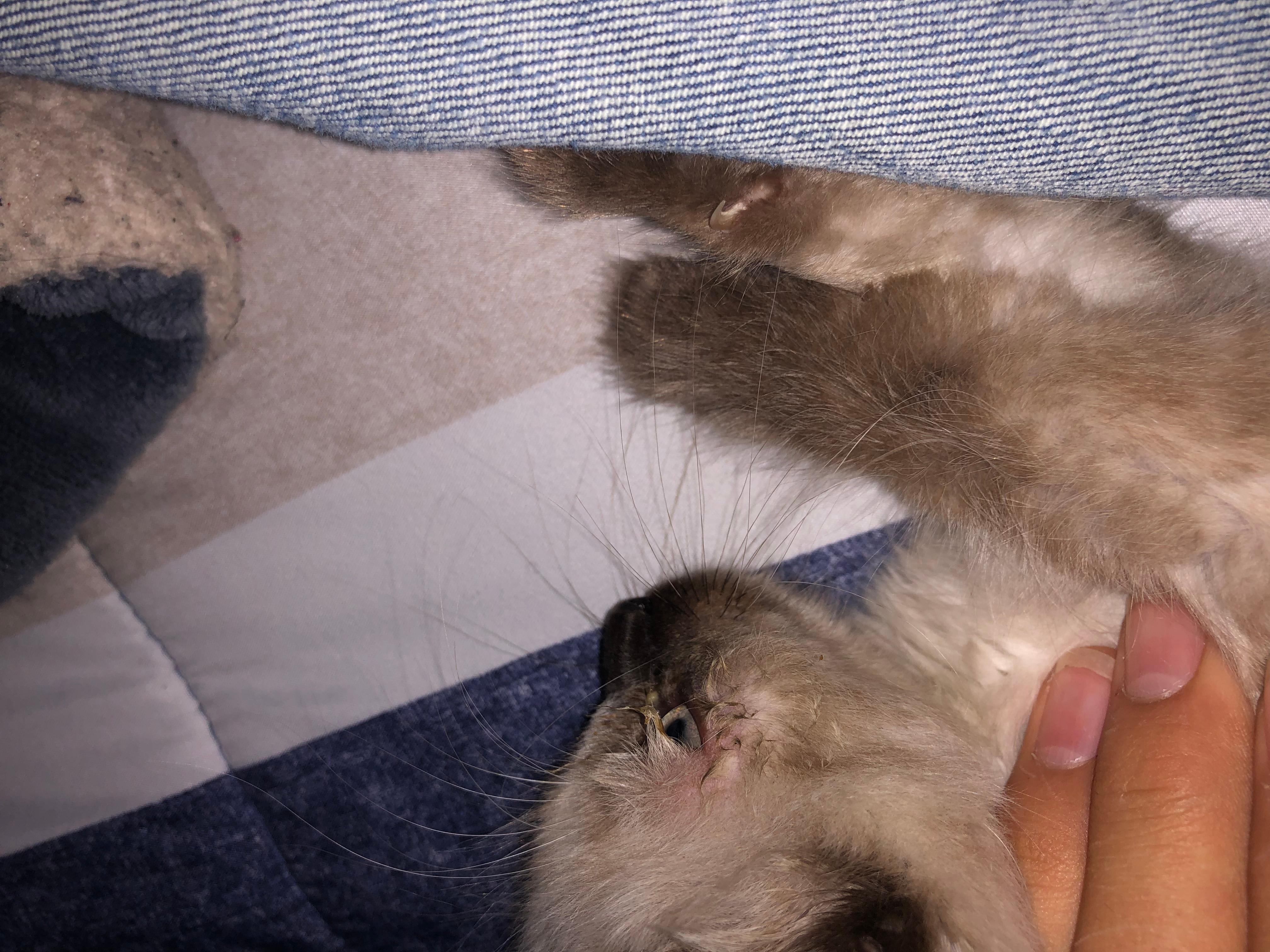 Question details sensitive content