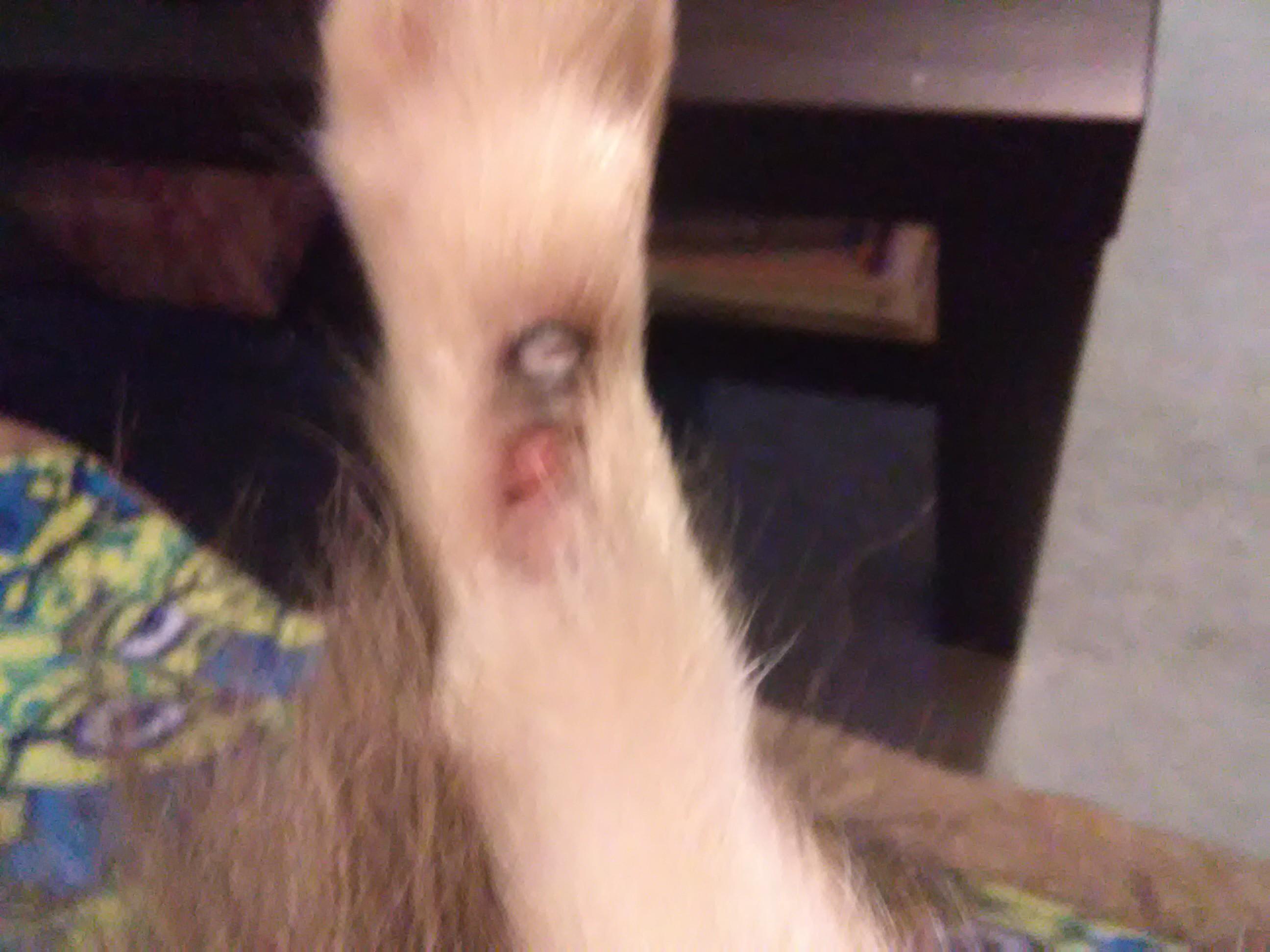 Question details sensitive content