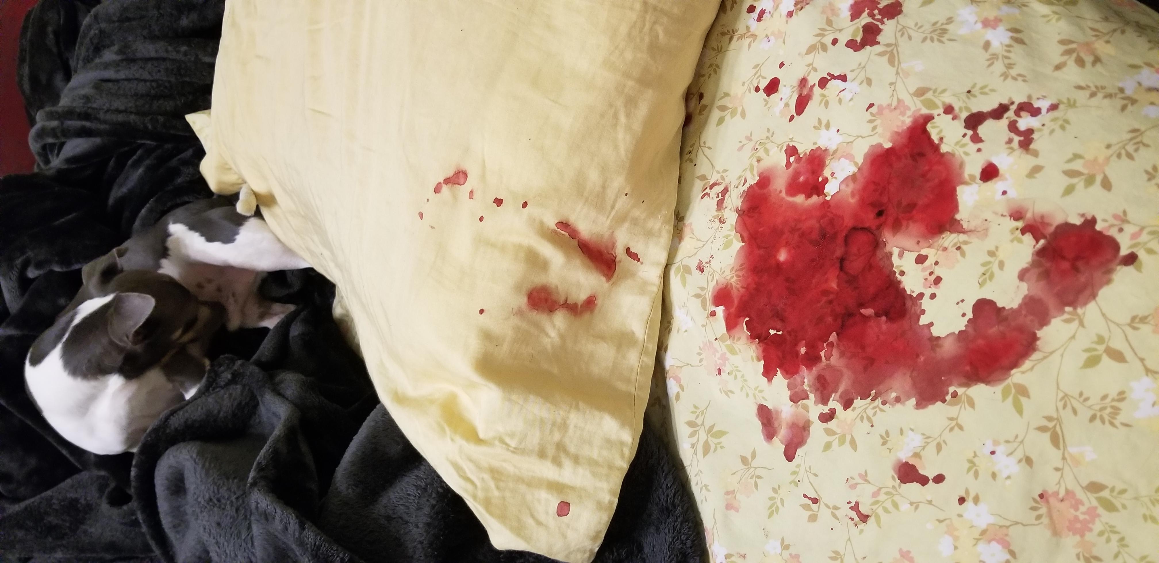 Question details sensitive content