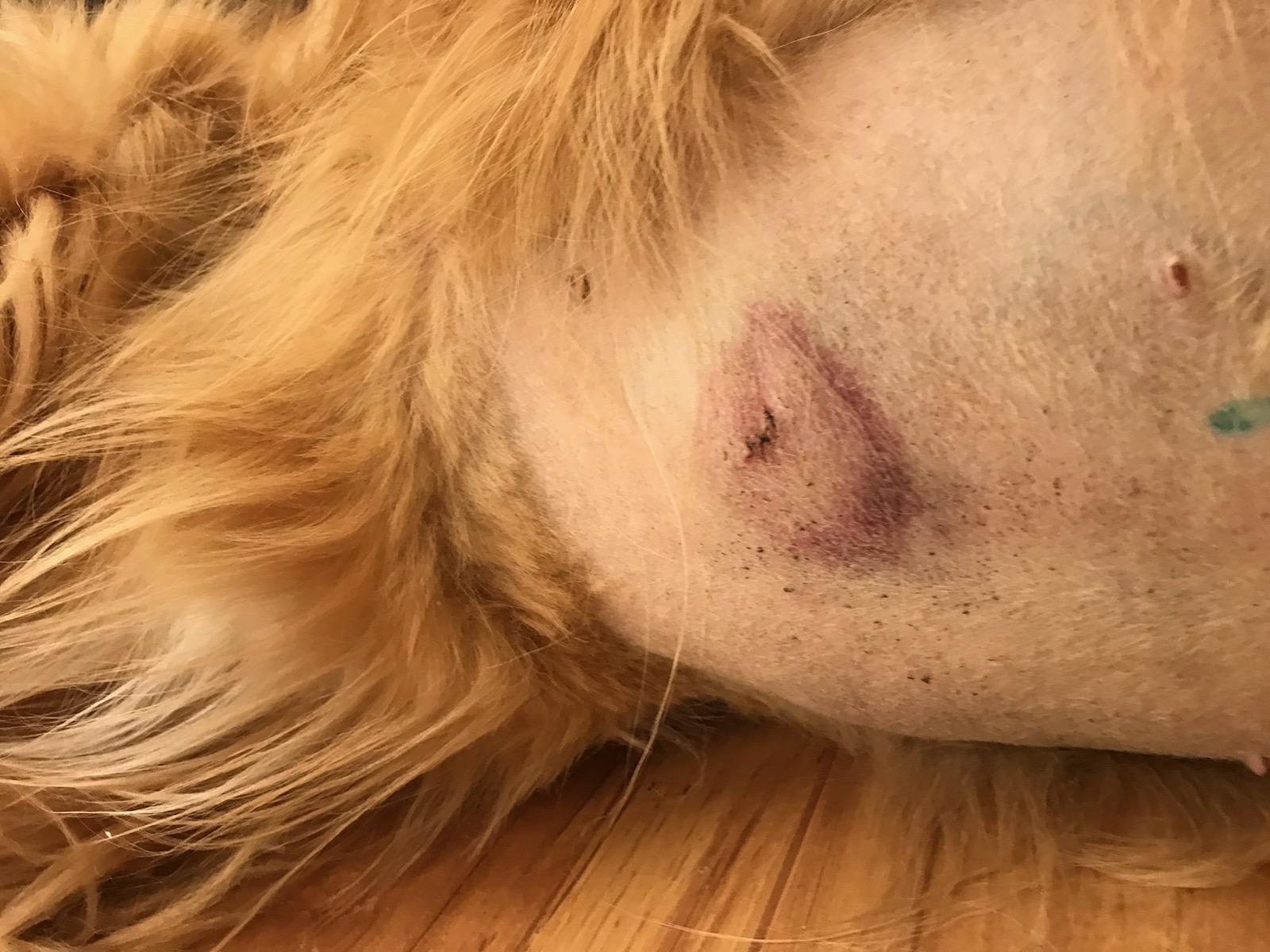 Question details sensitive content