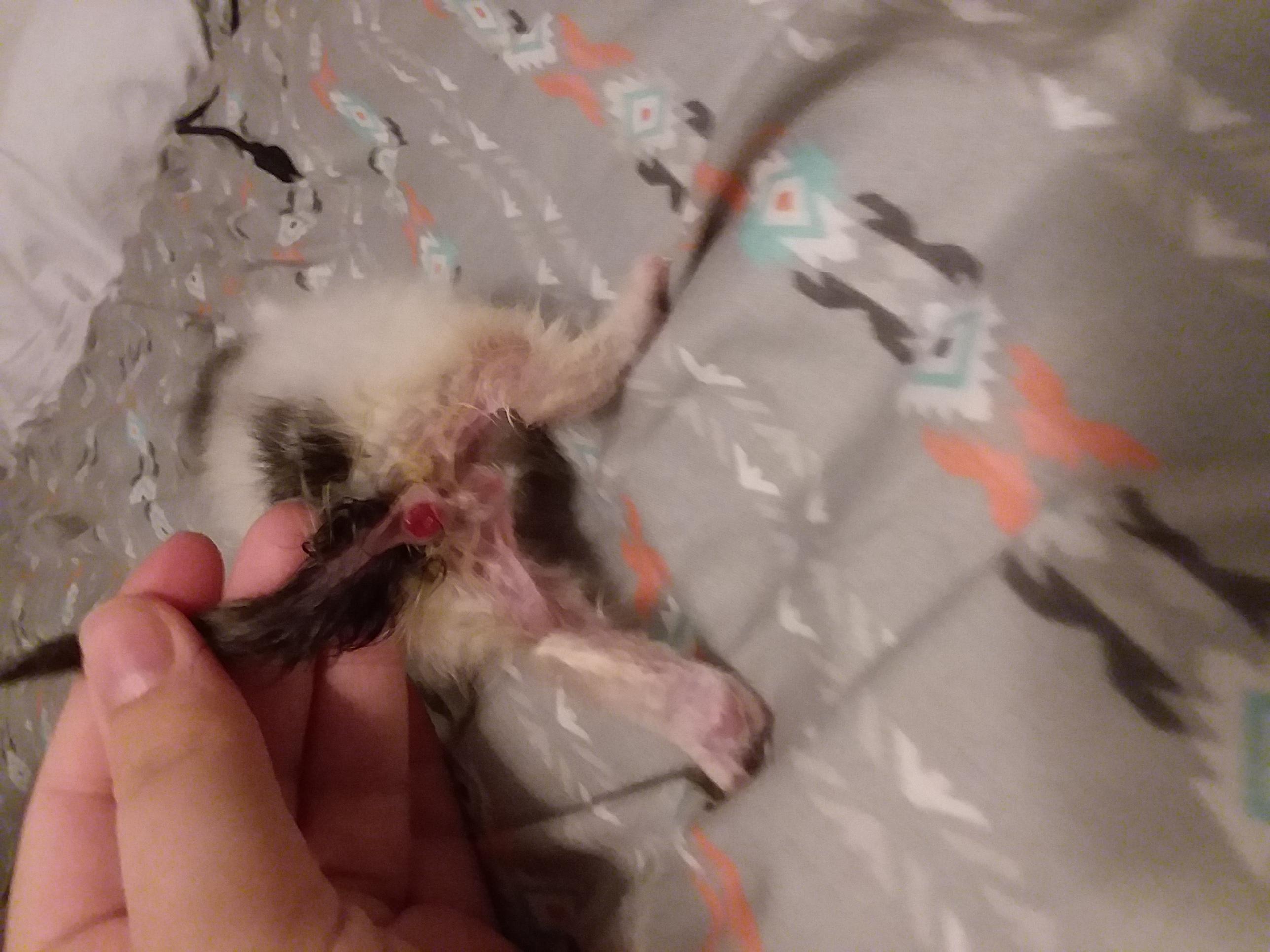 Question details sensitive content