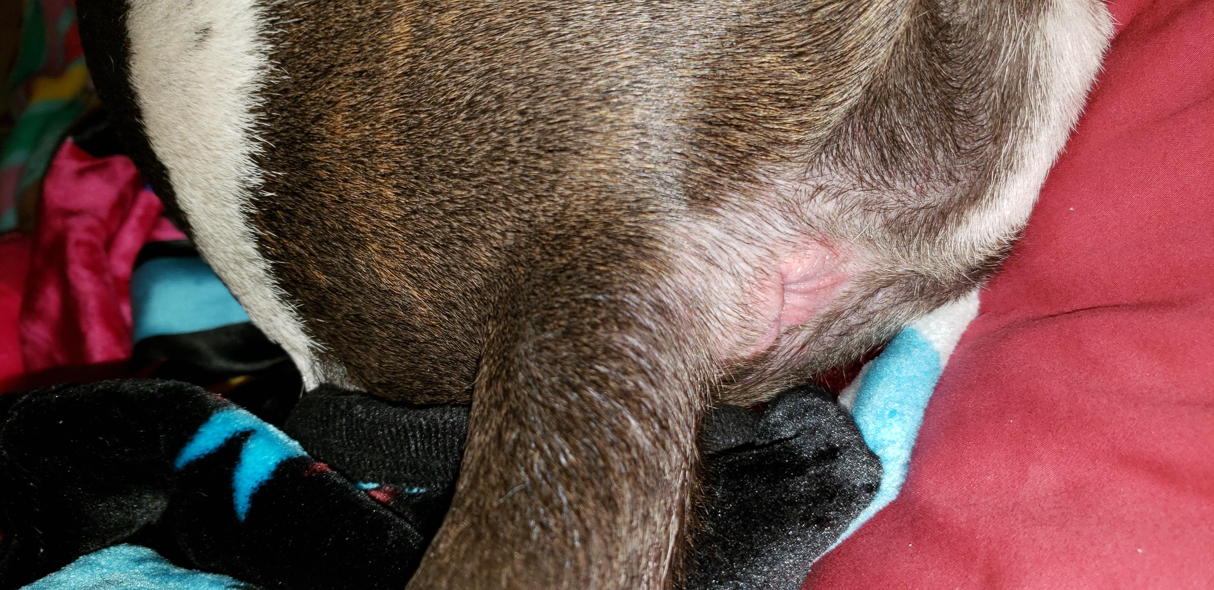 Question details sensitive content