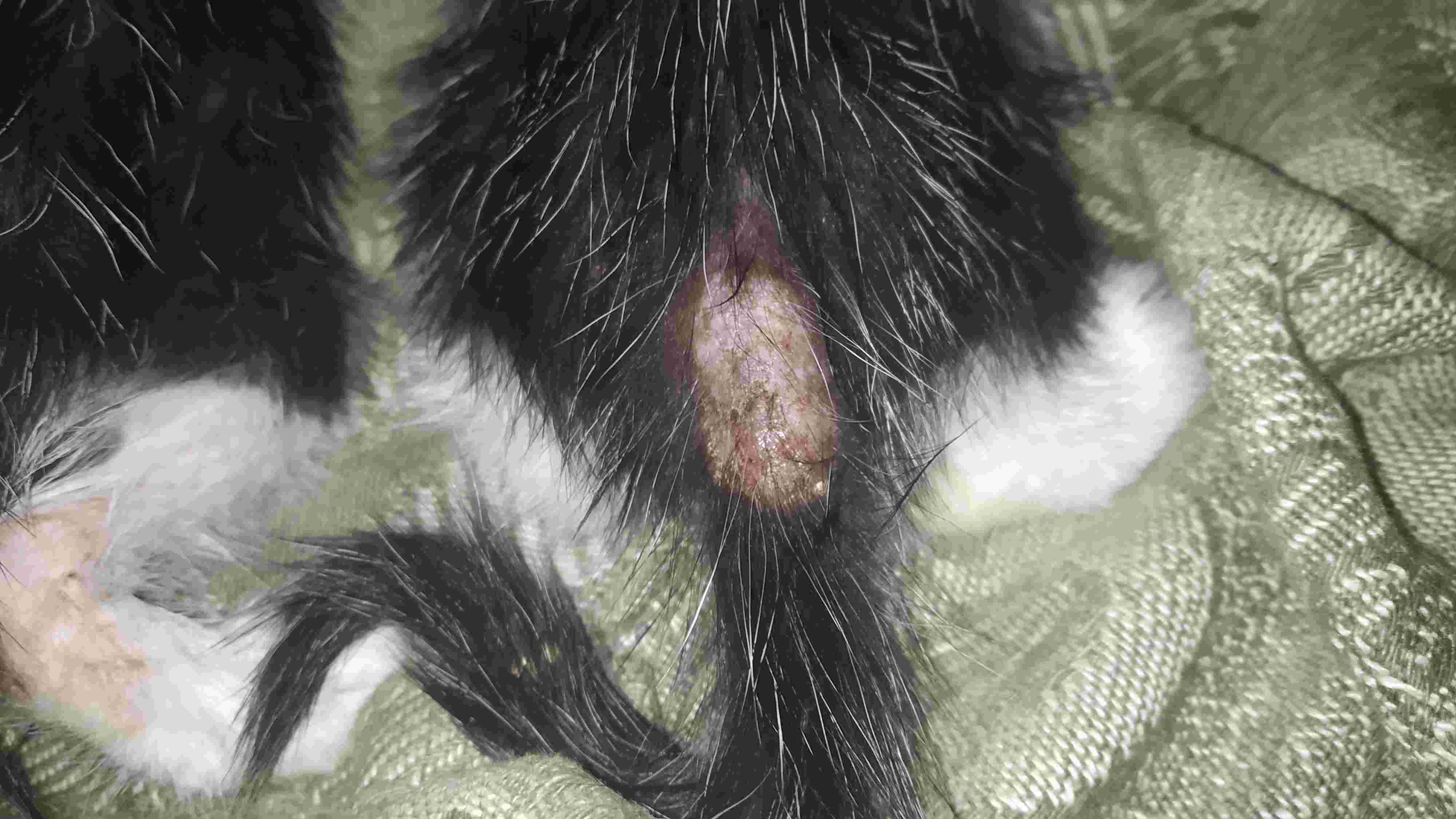 Question details sensitive content