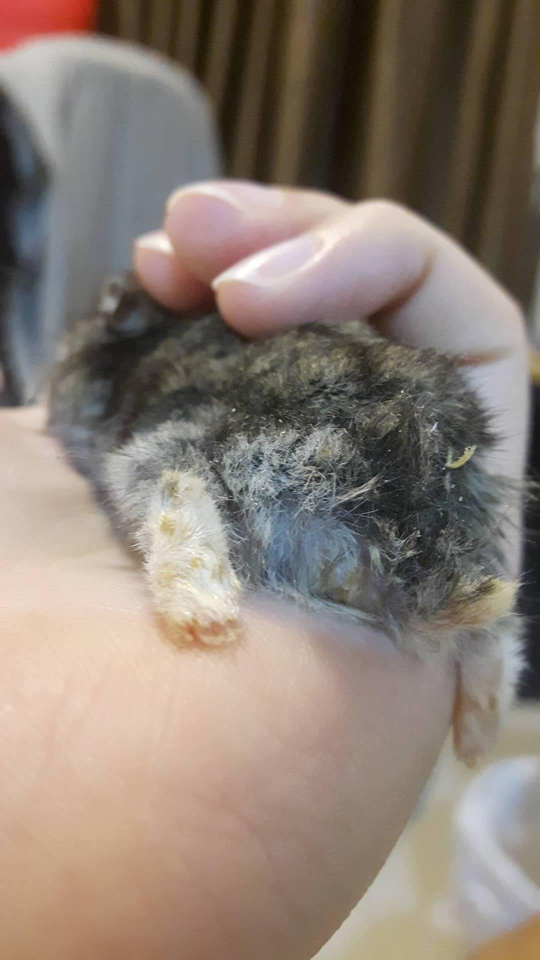 Question details sensitive content