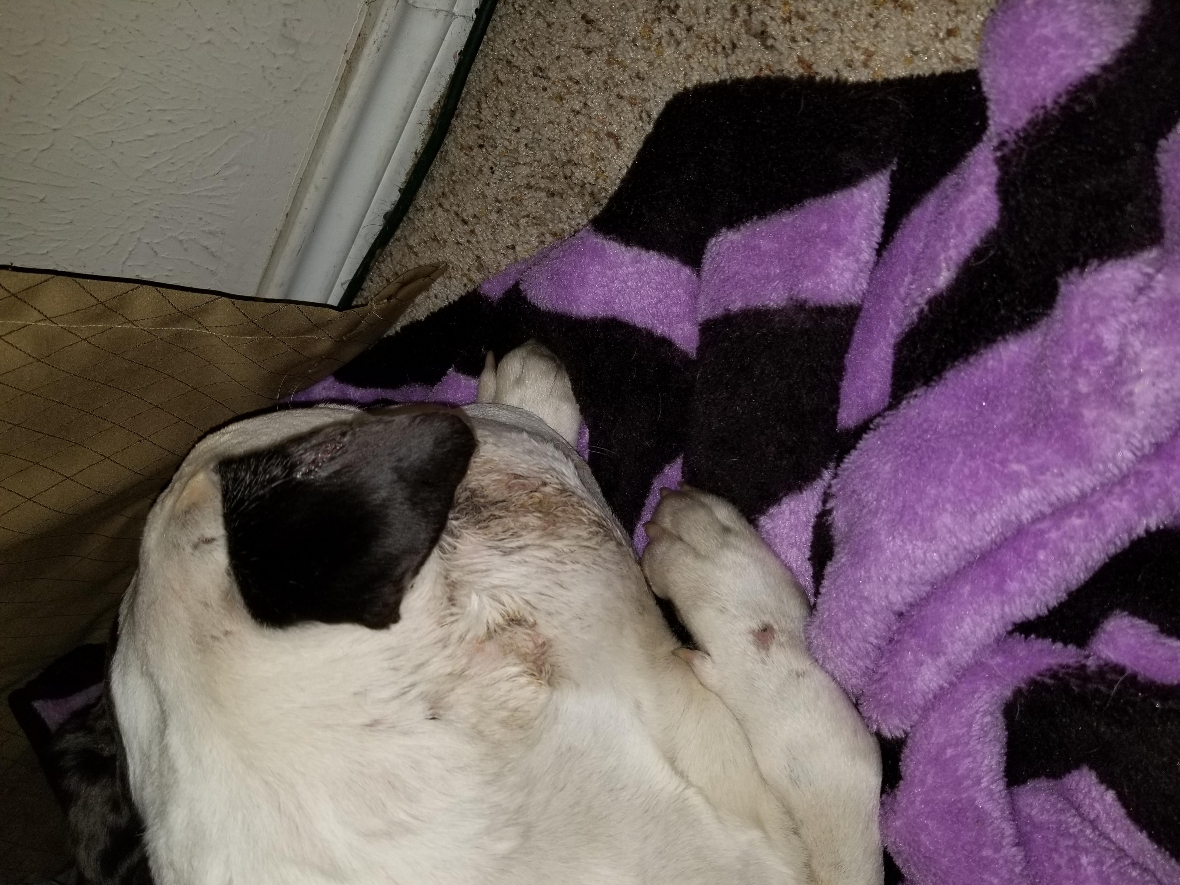 Question details sensitive content