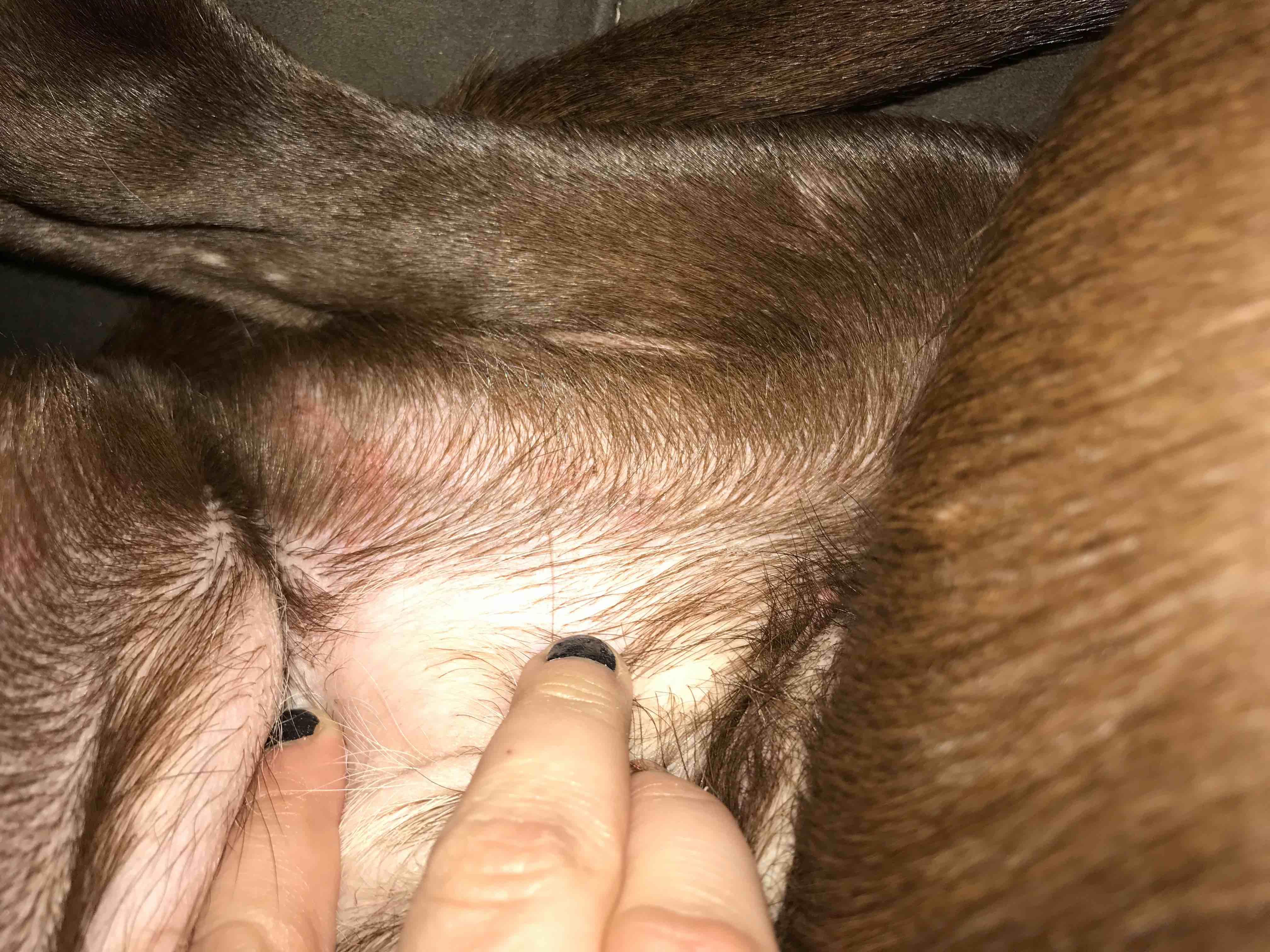 Question details sensitive content