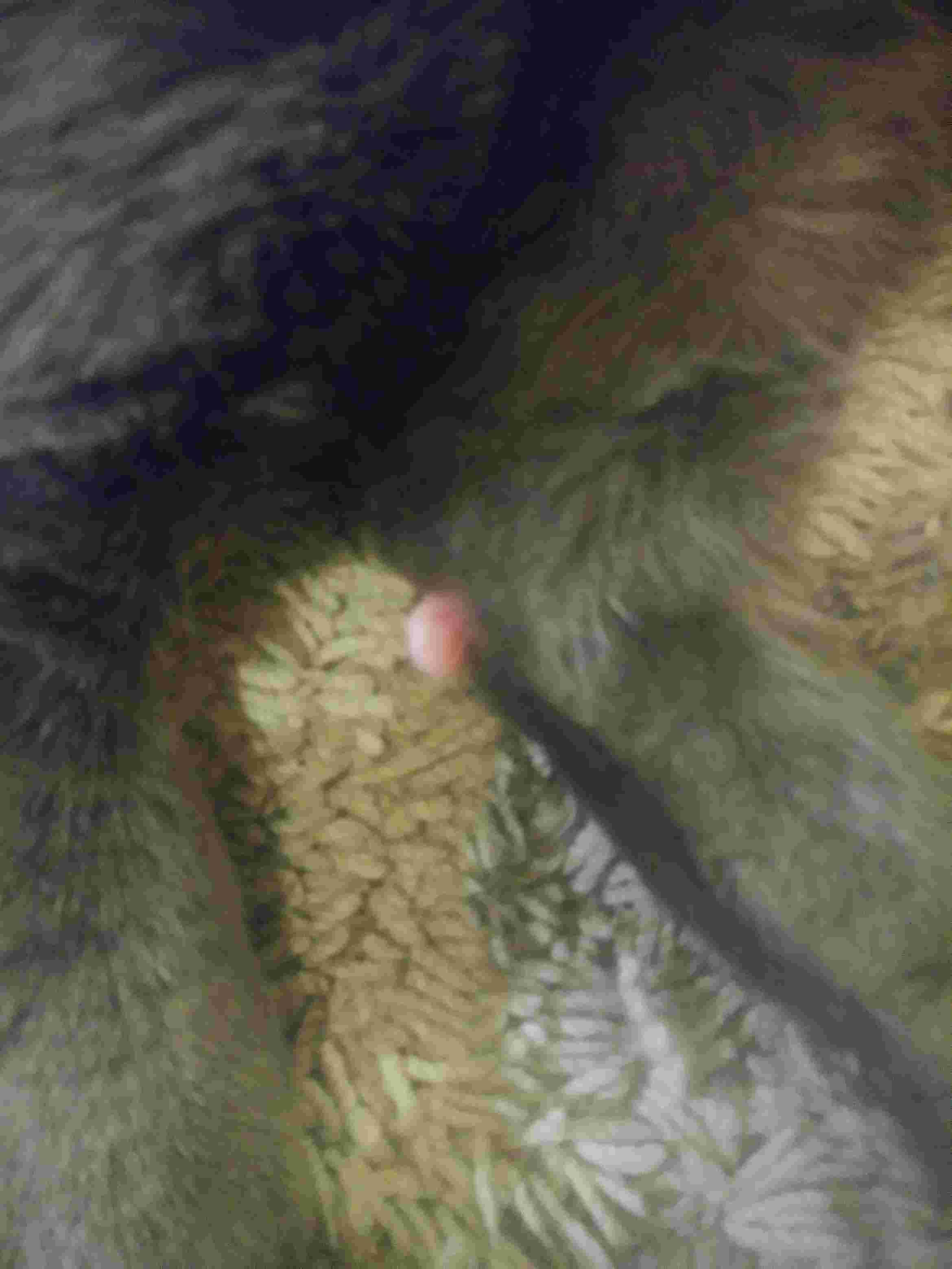 Question details sensitive content