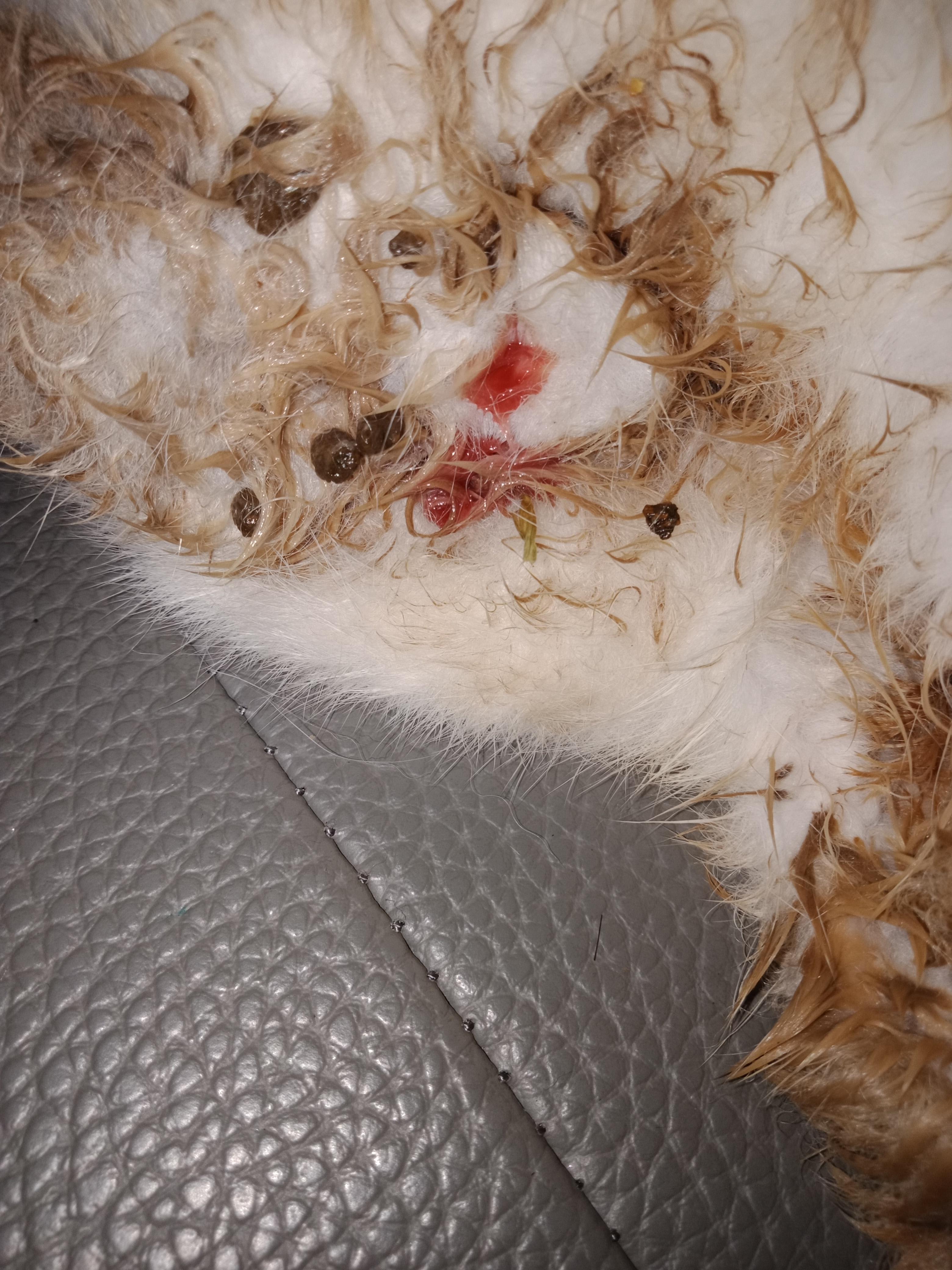 Question details sensitive content